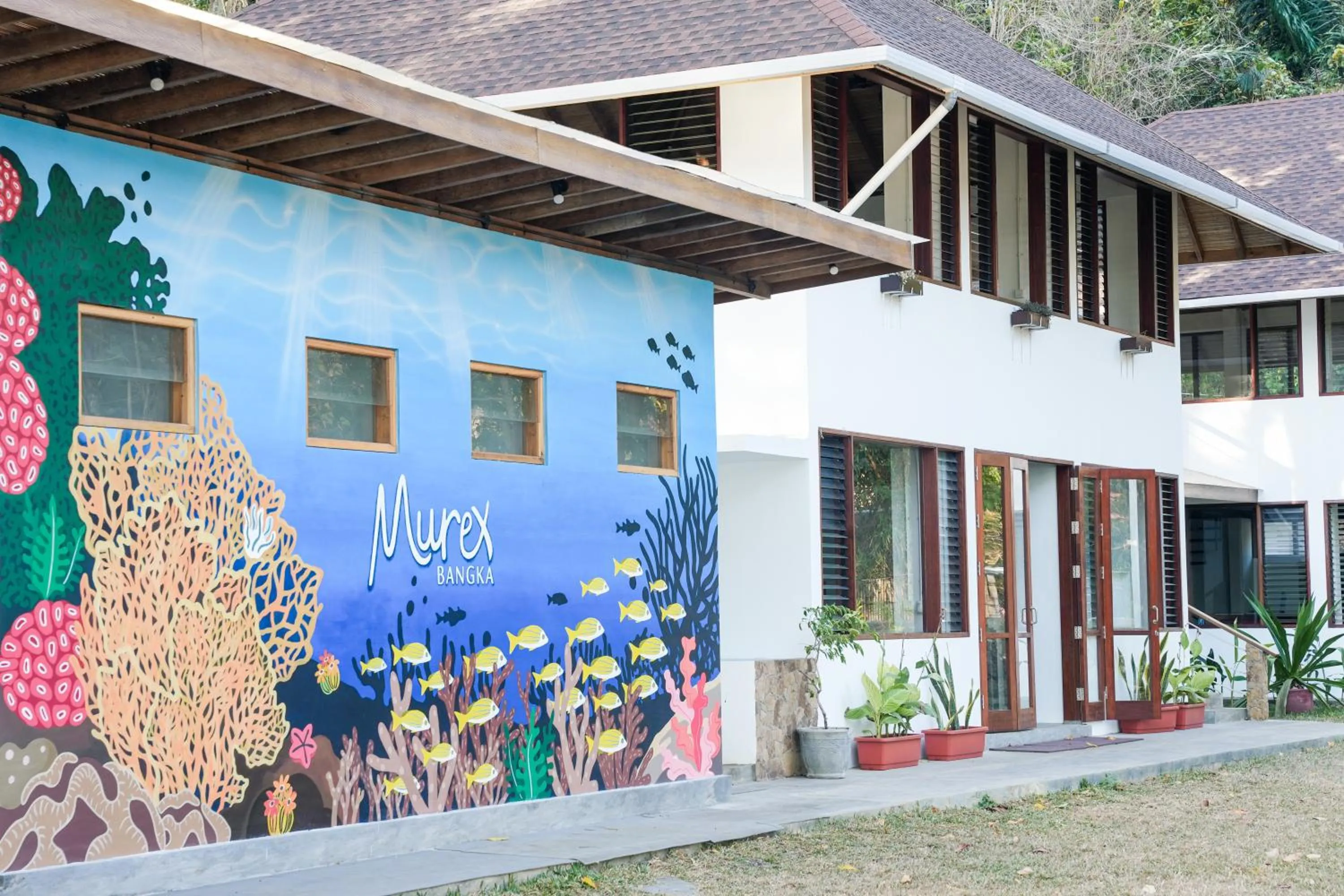 Murex Bangka Dive Resort