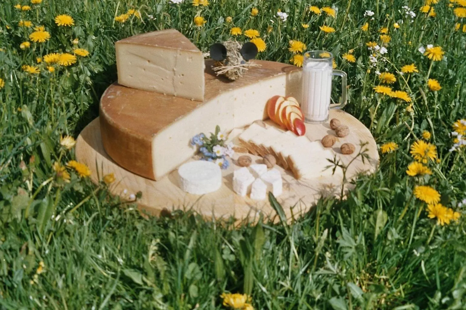 Food in Bauernhof Bilgeri