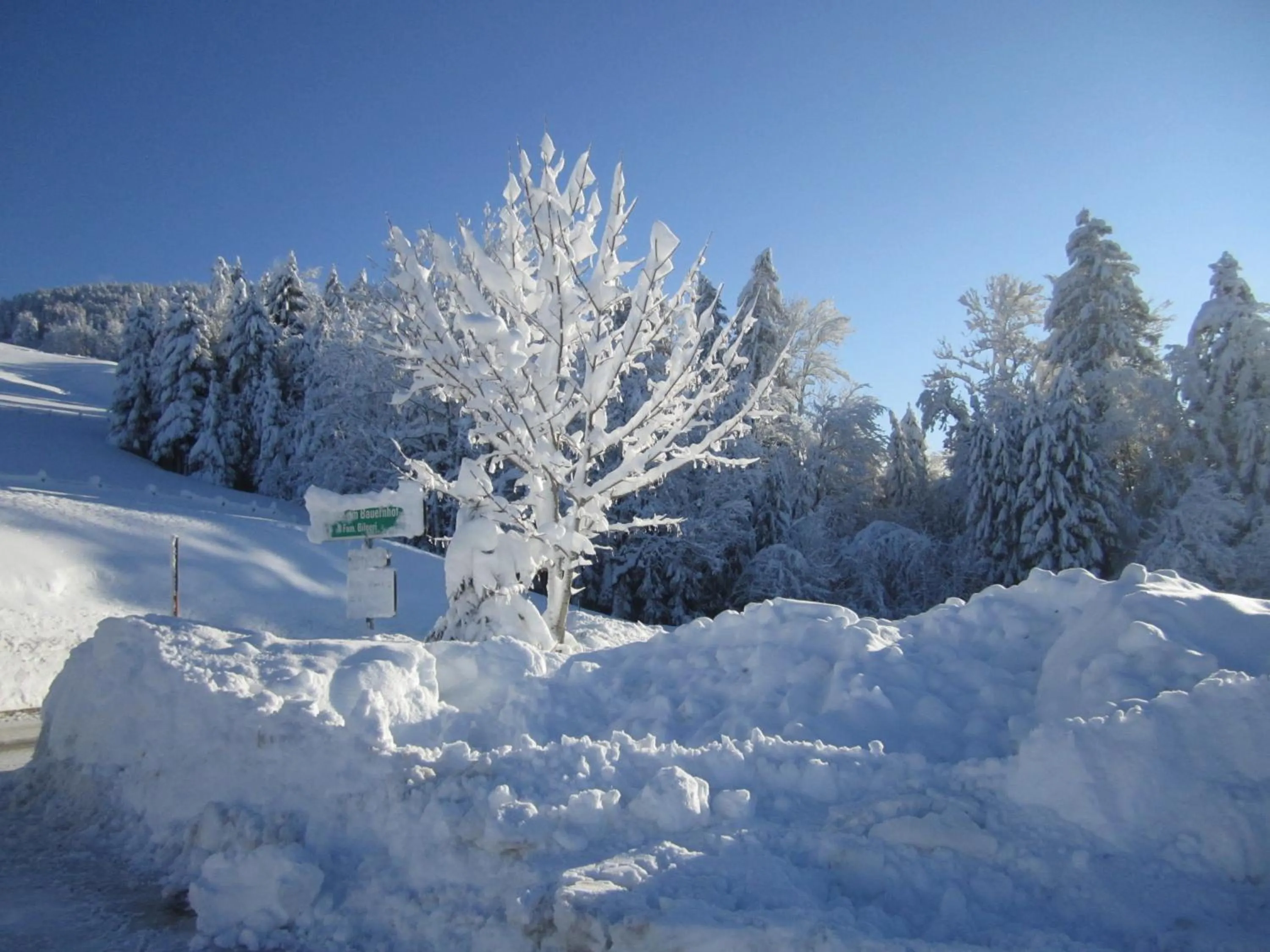 Natural landscape in Bauernhof Bilgeri