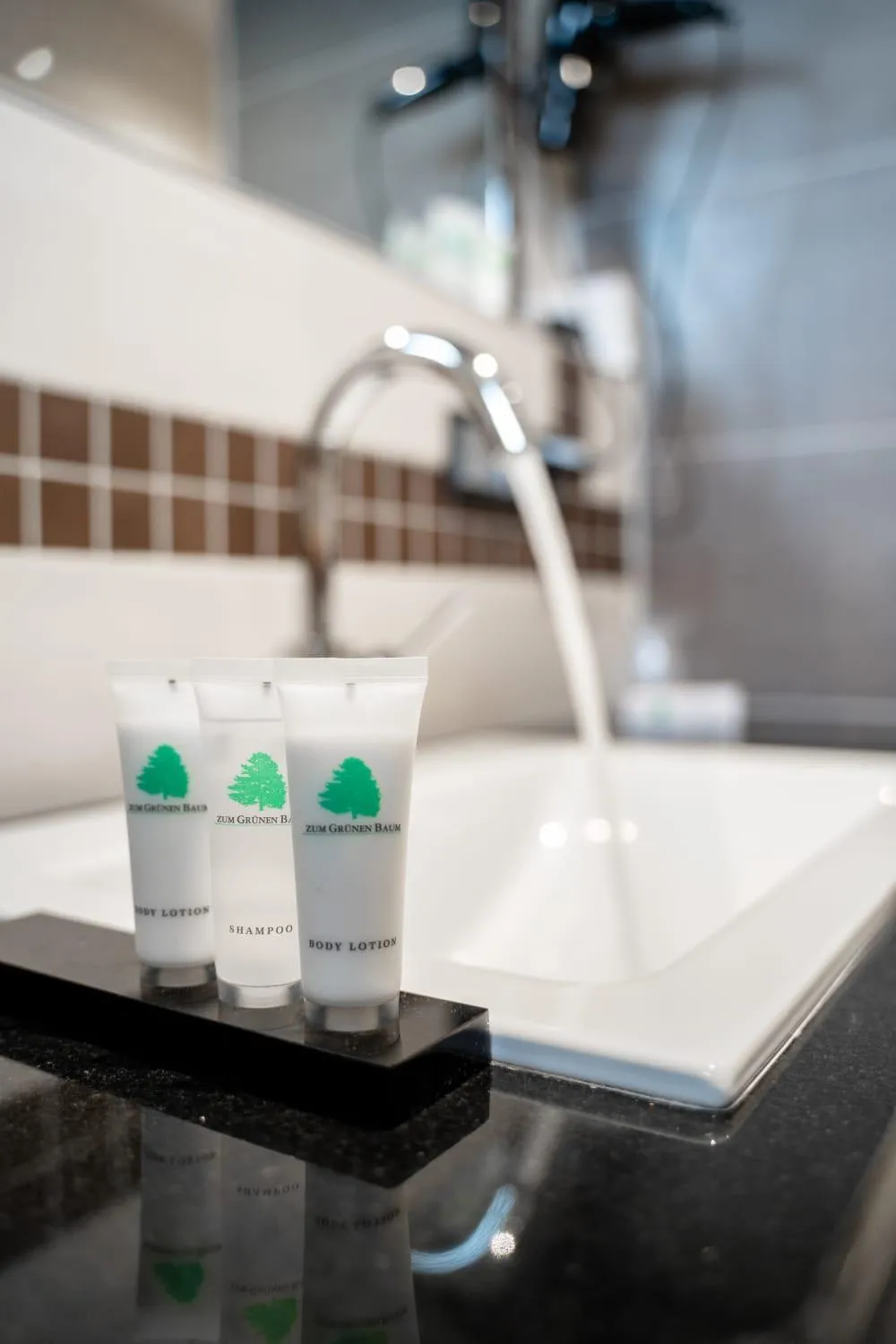 Bathroom in Zum grünen Baum Hotel Frankfurt Airport