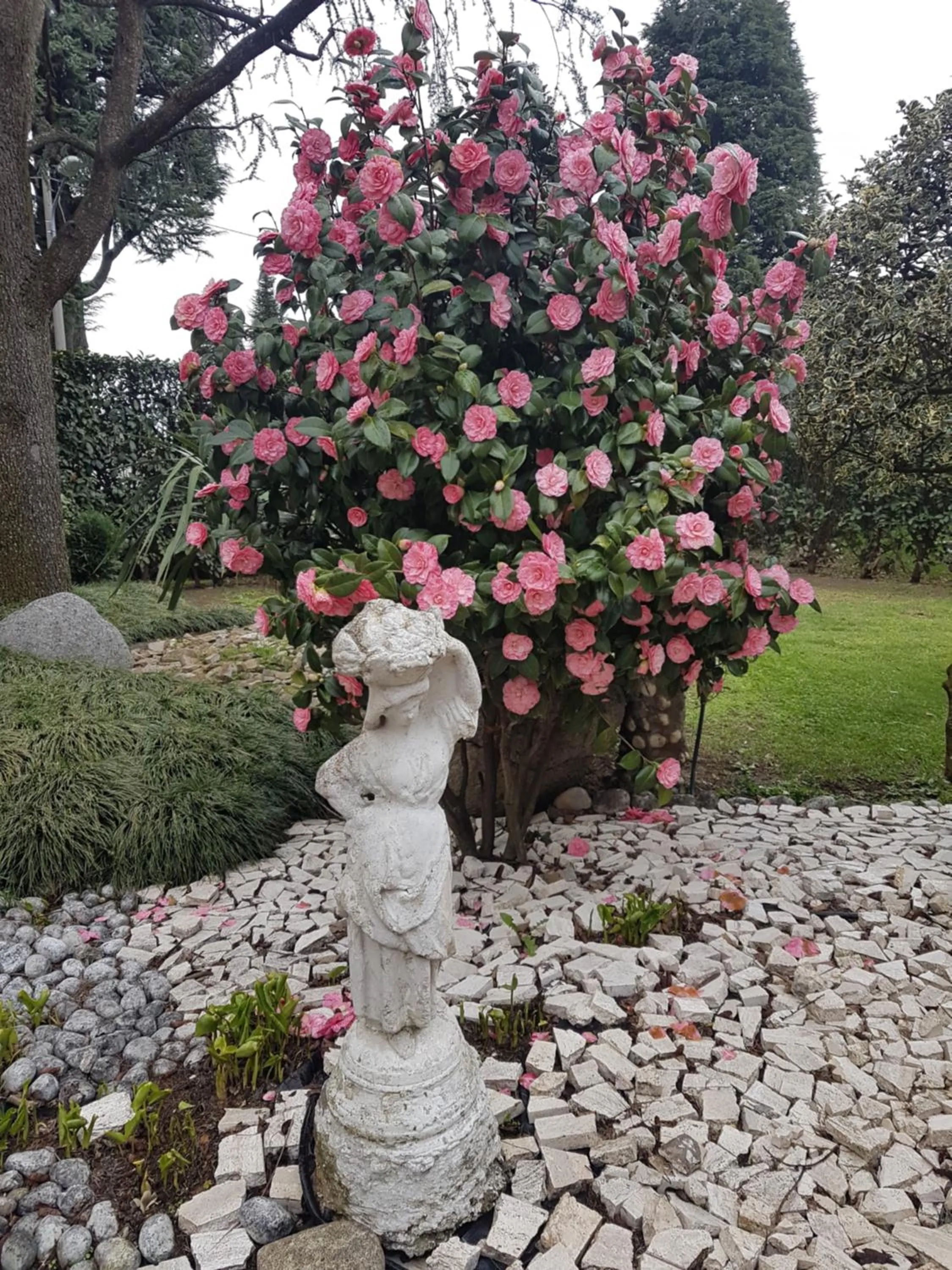 Spring in B&B Le Palme