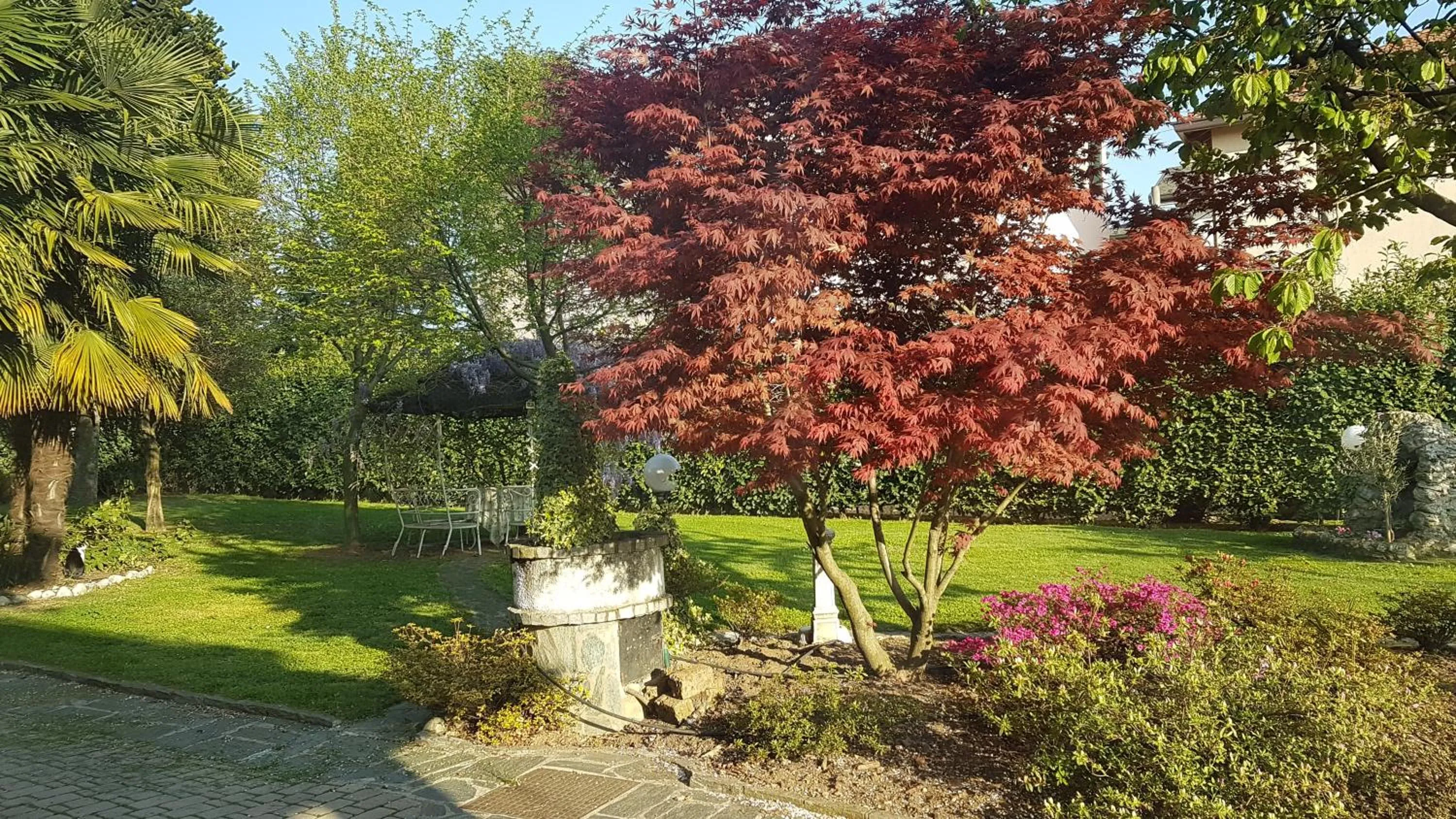 Summer in B&B Le Palme