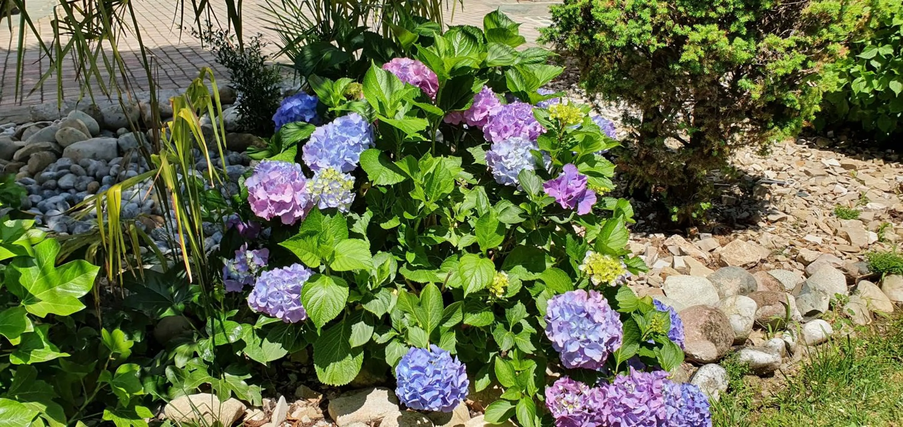 Garden in B&B Le Palme