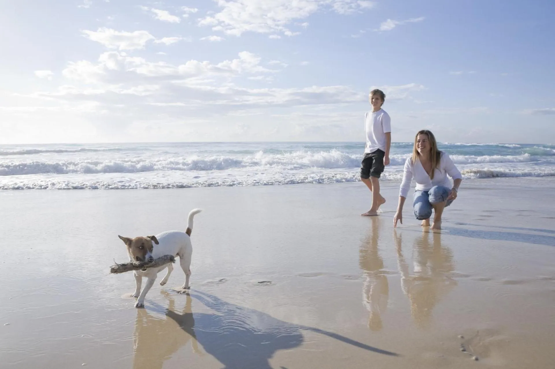 Pets in Villaggio Camping Torre Del Porticciolo