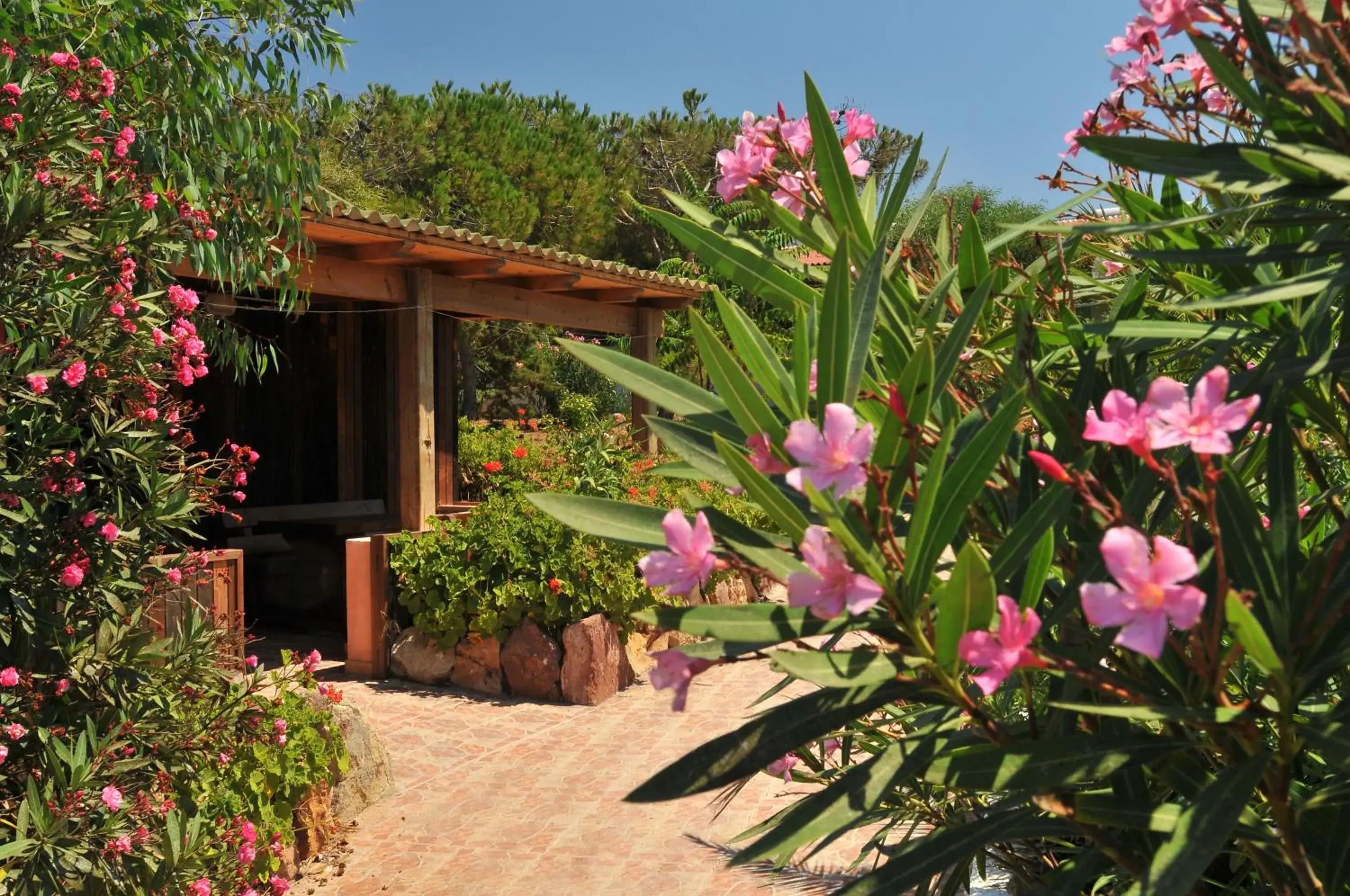 Chalet (4 People) in Villaggio Camping Torre Del Porticciolo Chalet (4 People) in Villaggio Camping Torre Del Porticciolo