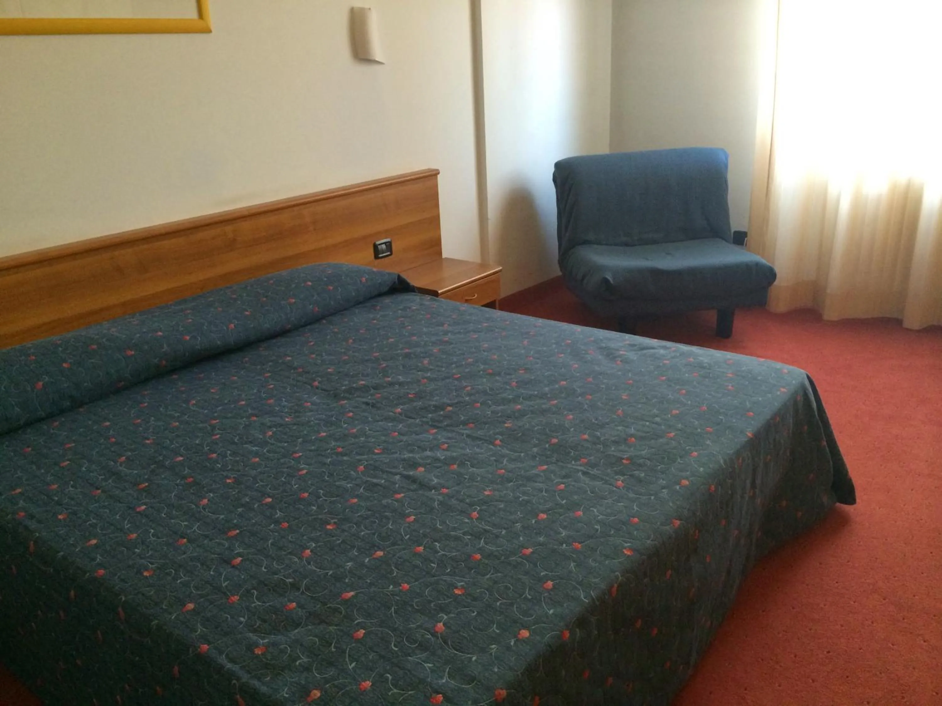 Double Room in Hotel Arcobaleno
