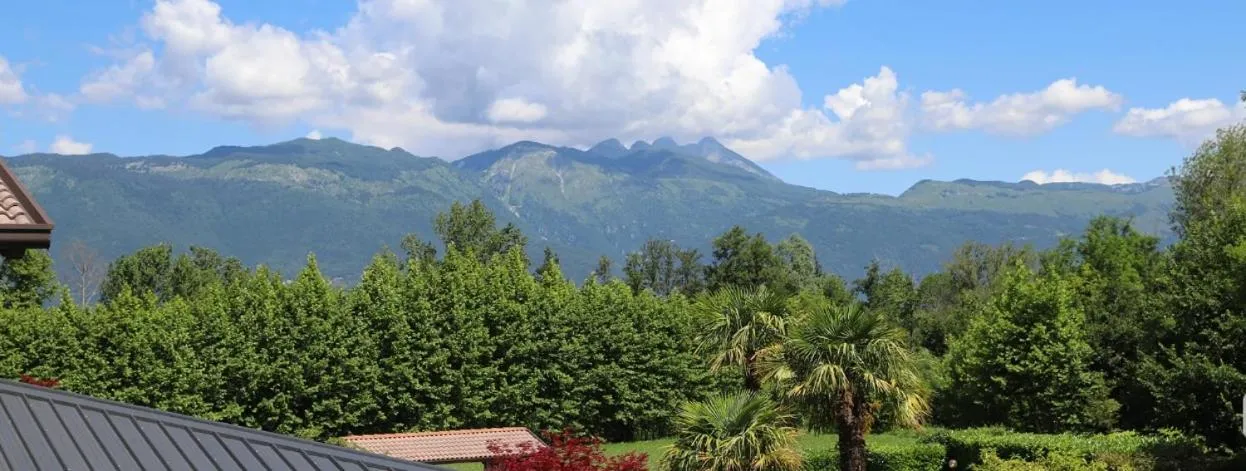 Garden in Hotel Luna