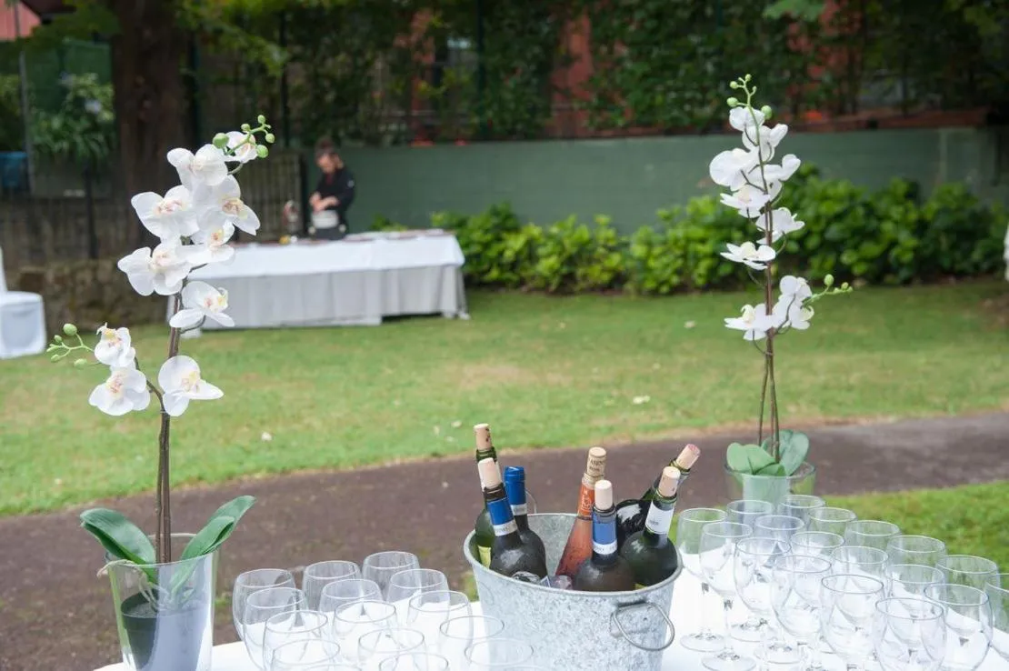 Garden in Hotel Artaza