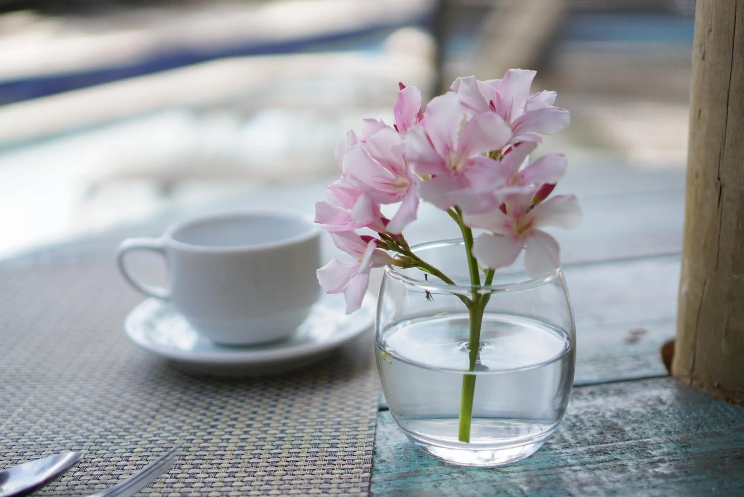 Dining area in ThalassaGarden Hotel - Pousada