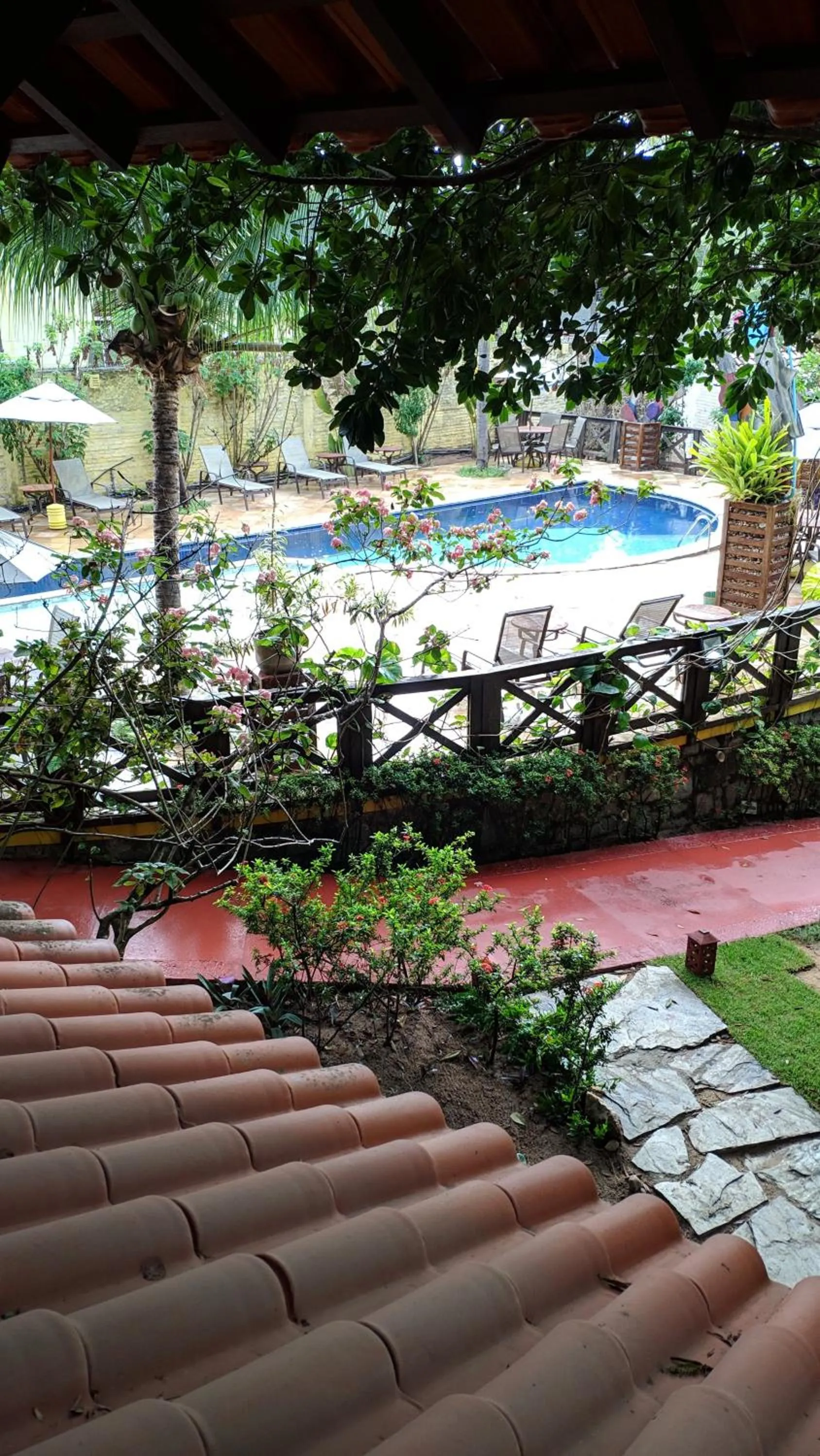 Pool view in ThalassaGarden Hotel - Pousada