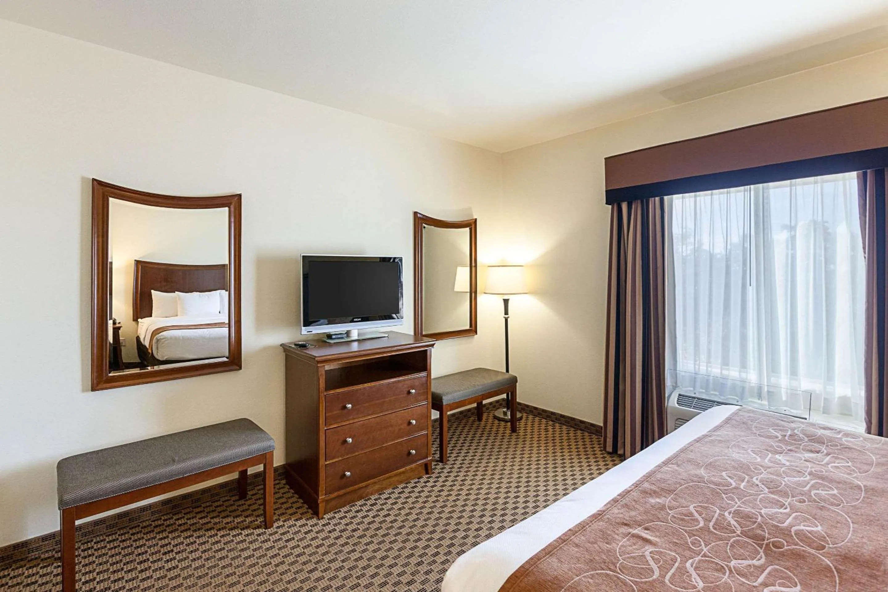 Photo of the whole room, Bed in Comfort Suites San Antonio North - Stone Oak