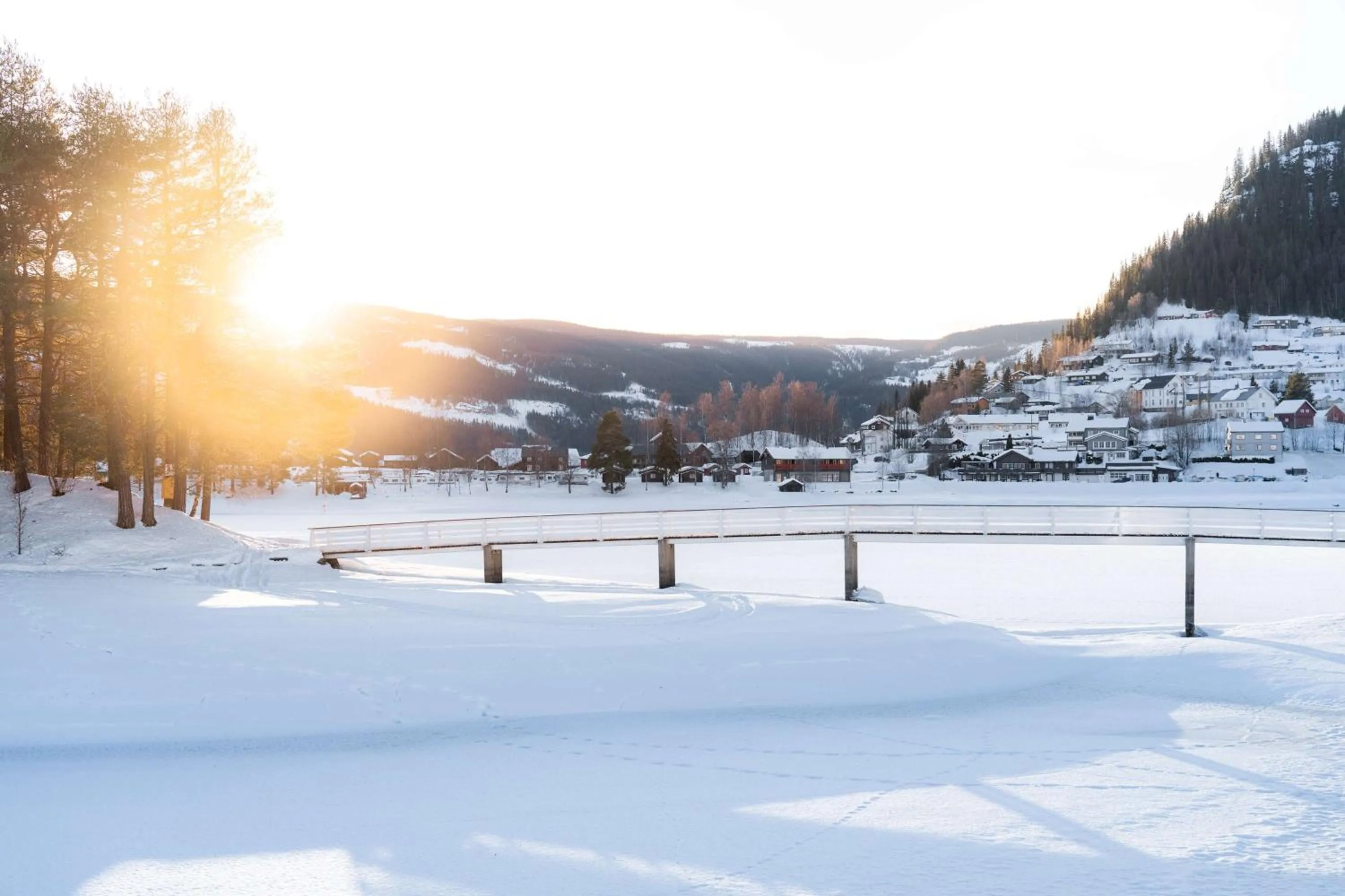 Property building in Scandic Valdres