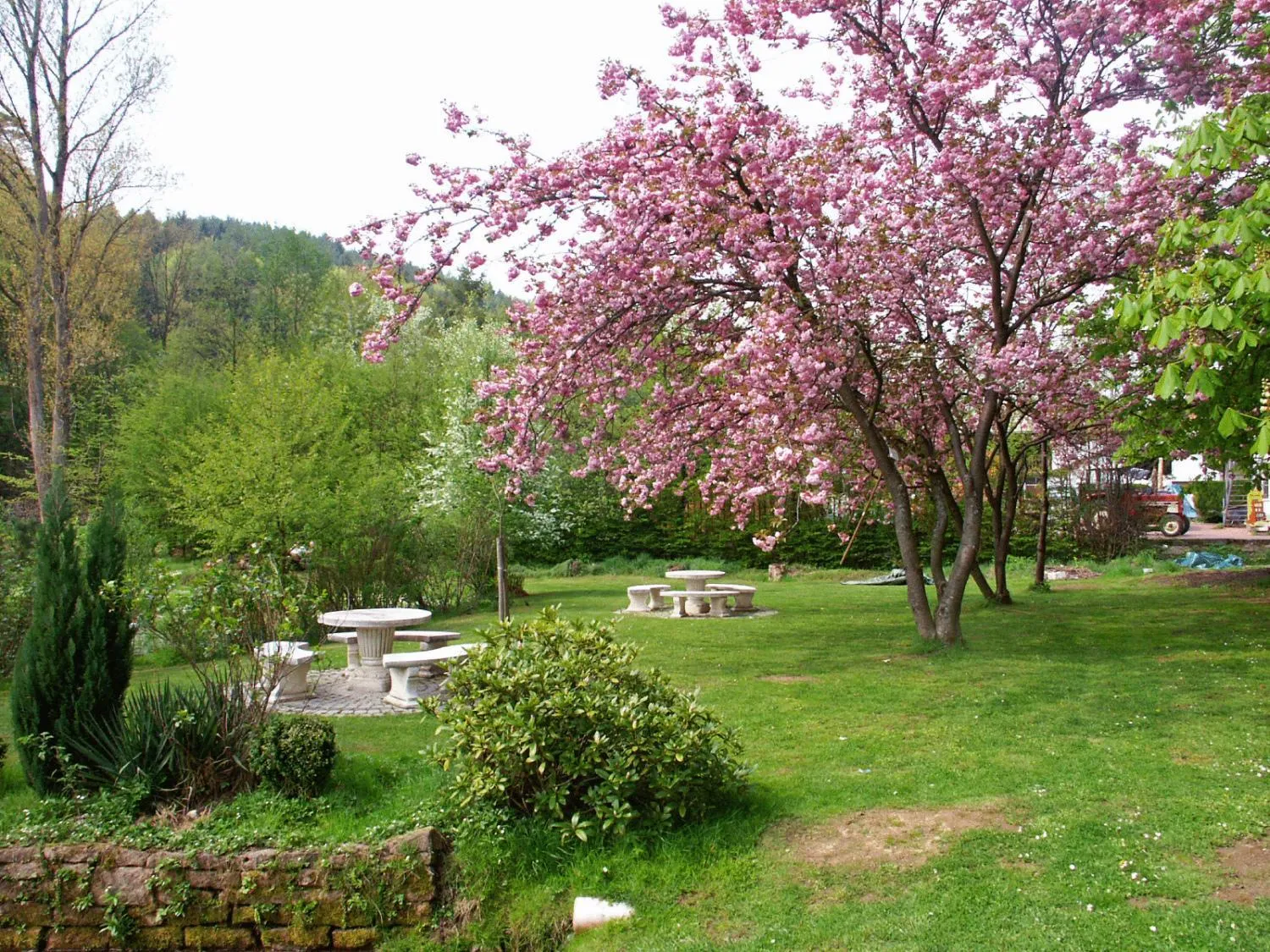 Garden view in Hotel zum Engel