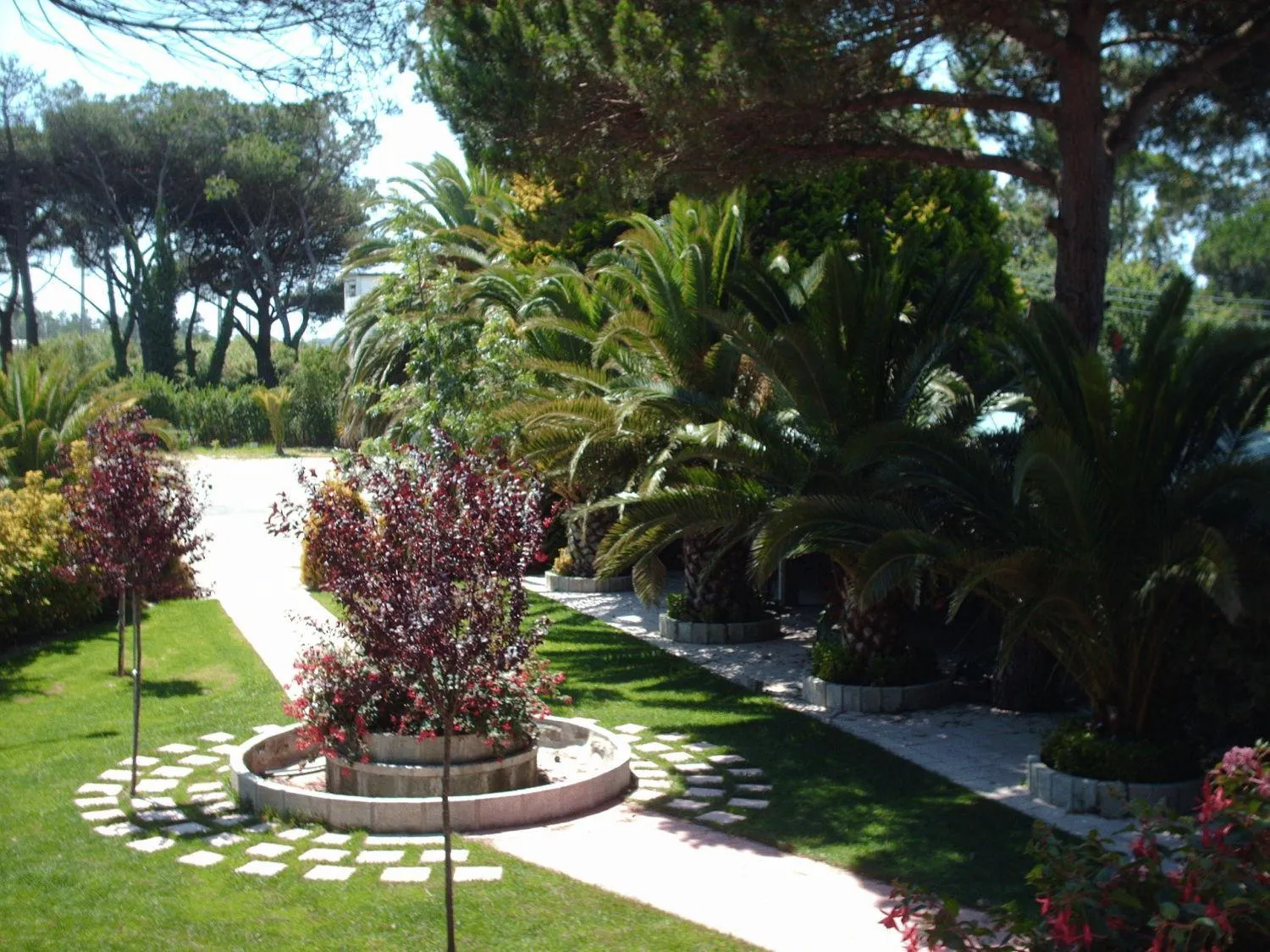 Garden in Hotel Contriz