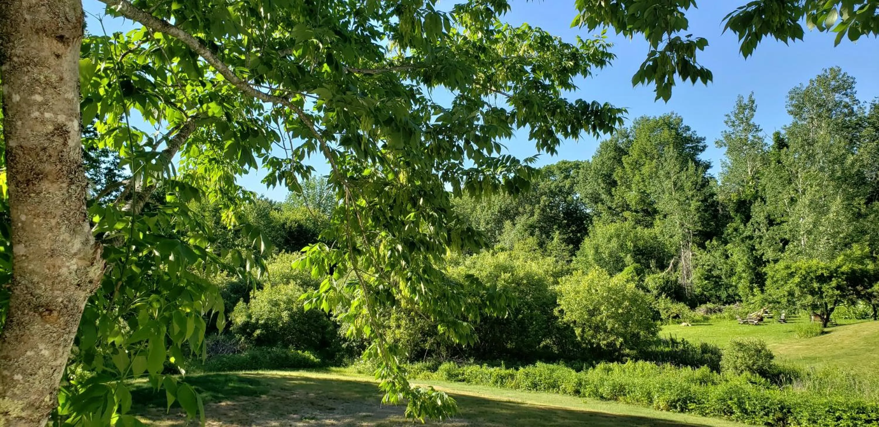 Natural landscape in Hawks House Inn
