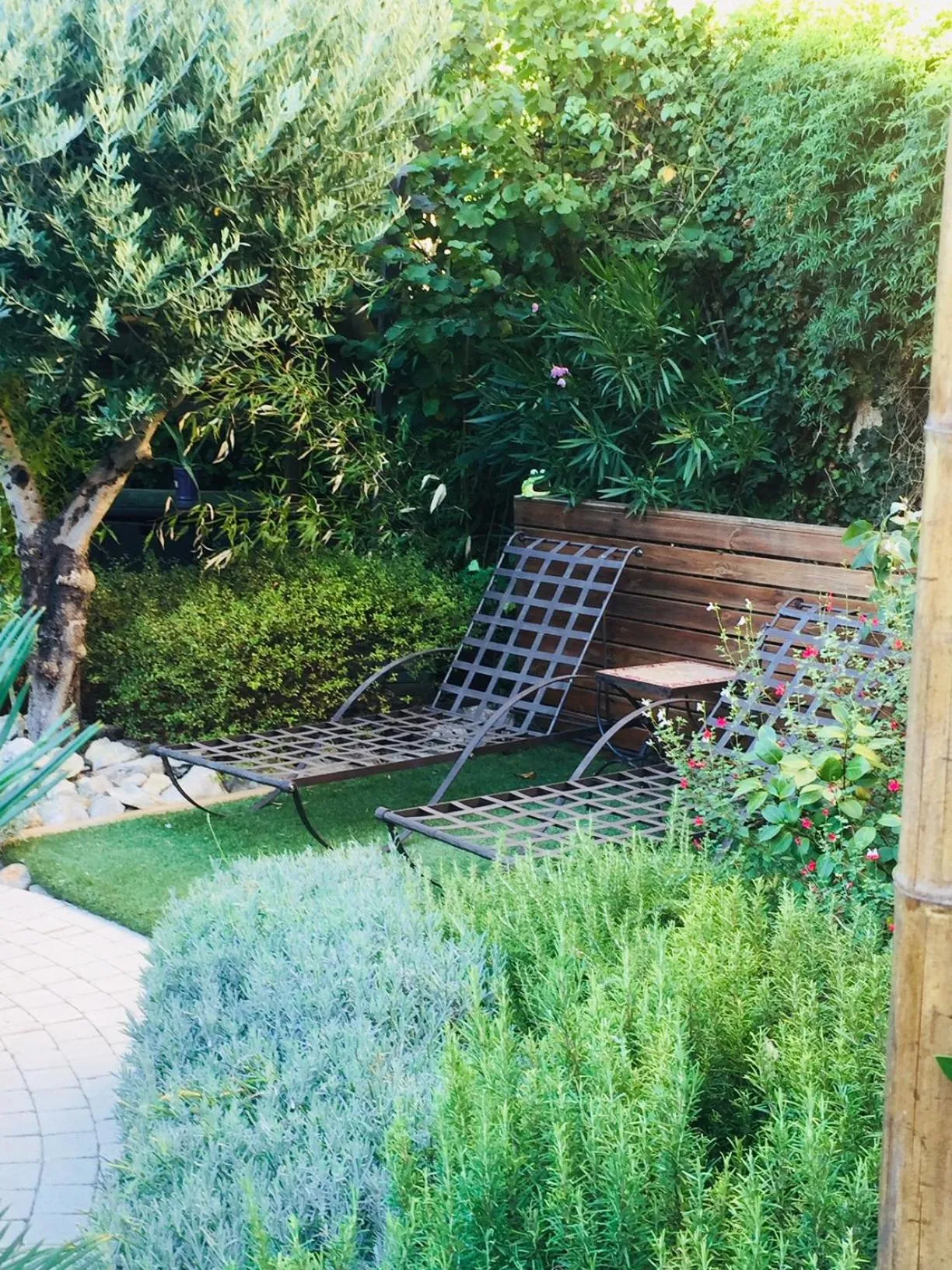 Garden in O'palmier Caché