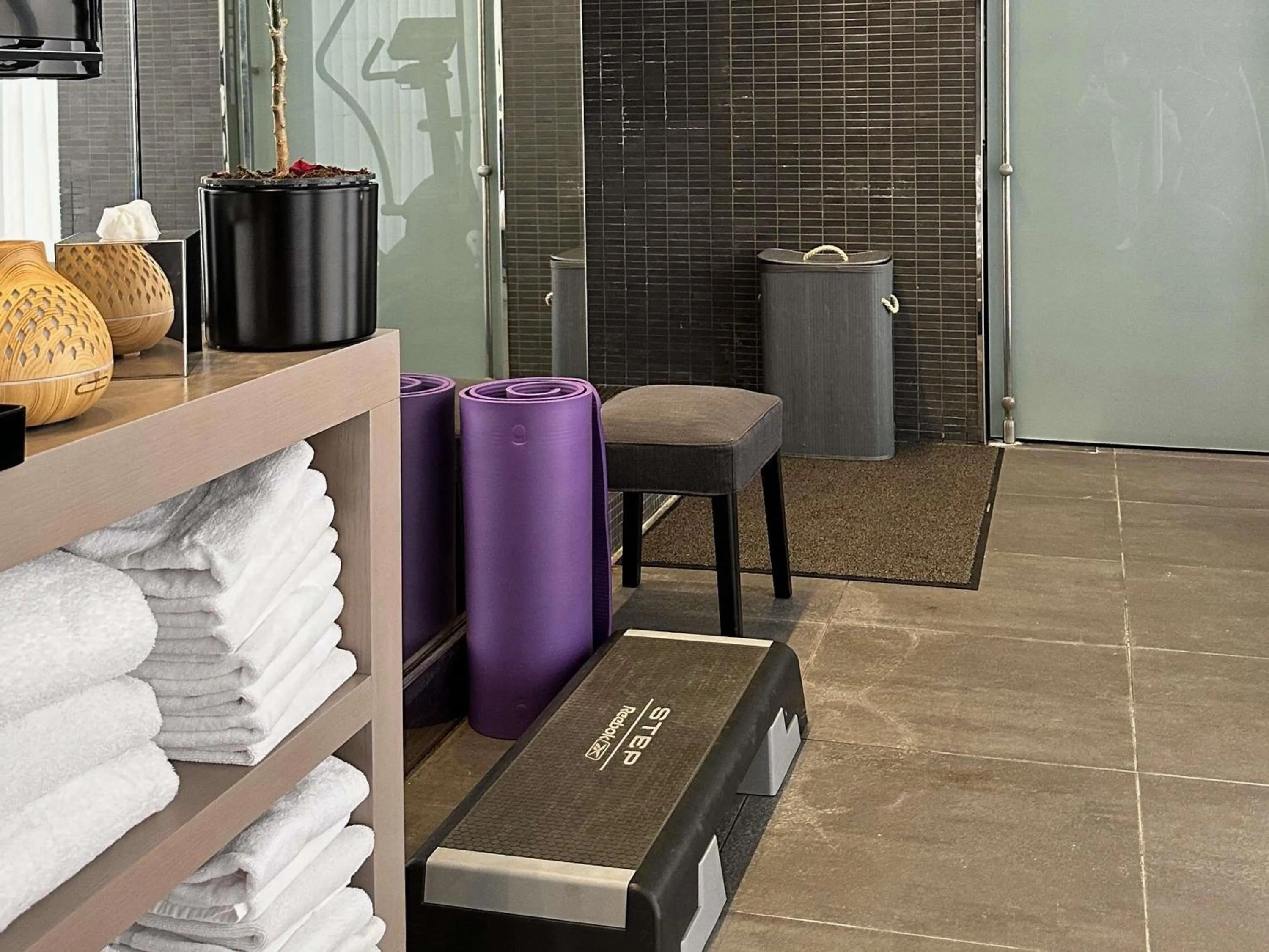 Fitness centre/facilities in Park Hotel Grenoble - MGallery Collection