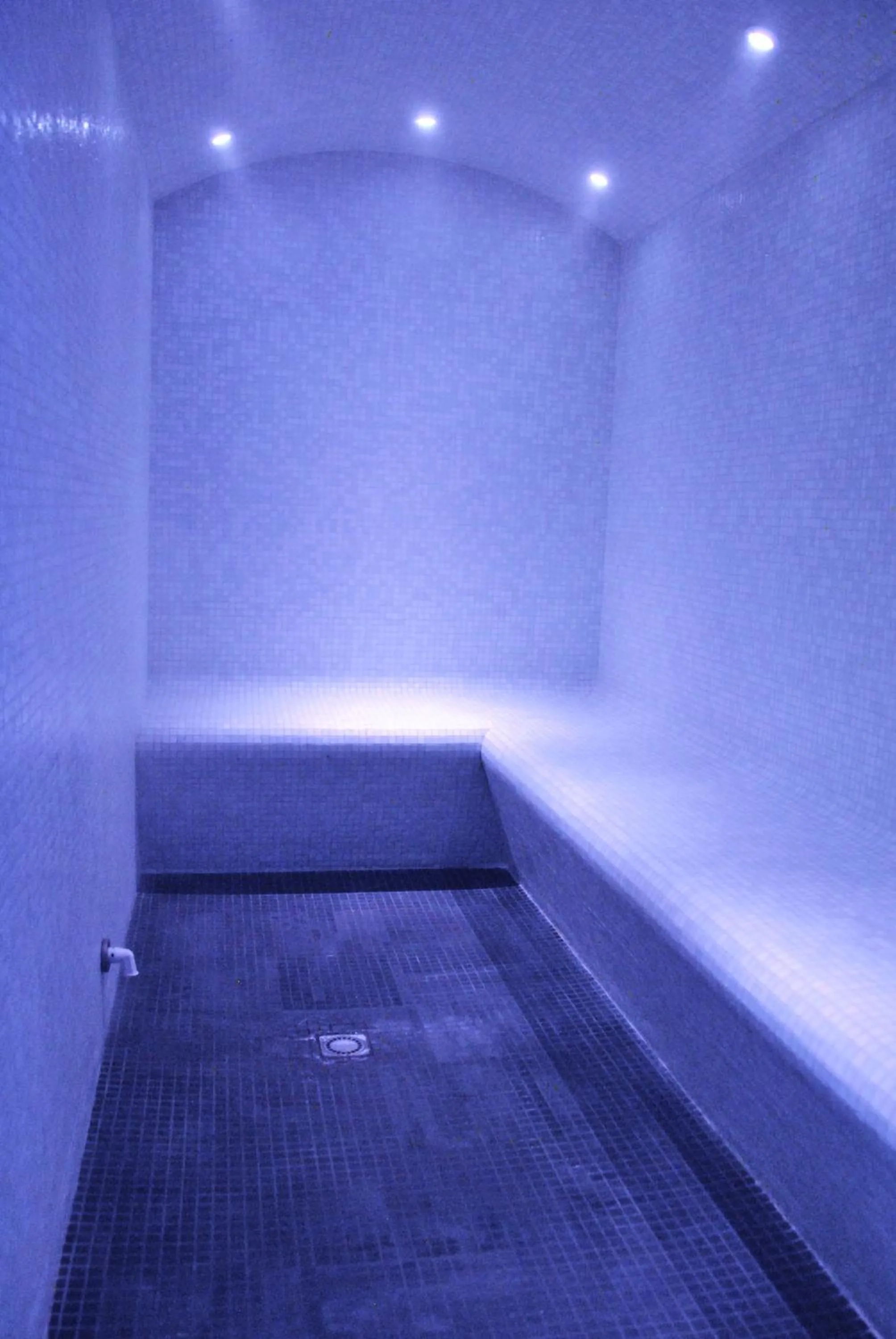Steam room in Park Hotel Grenoble - MGallery Collection