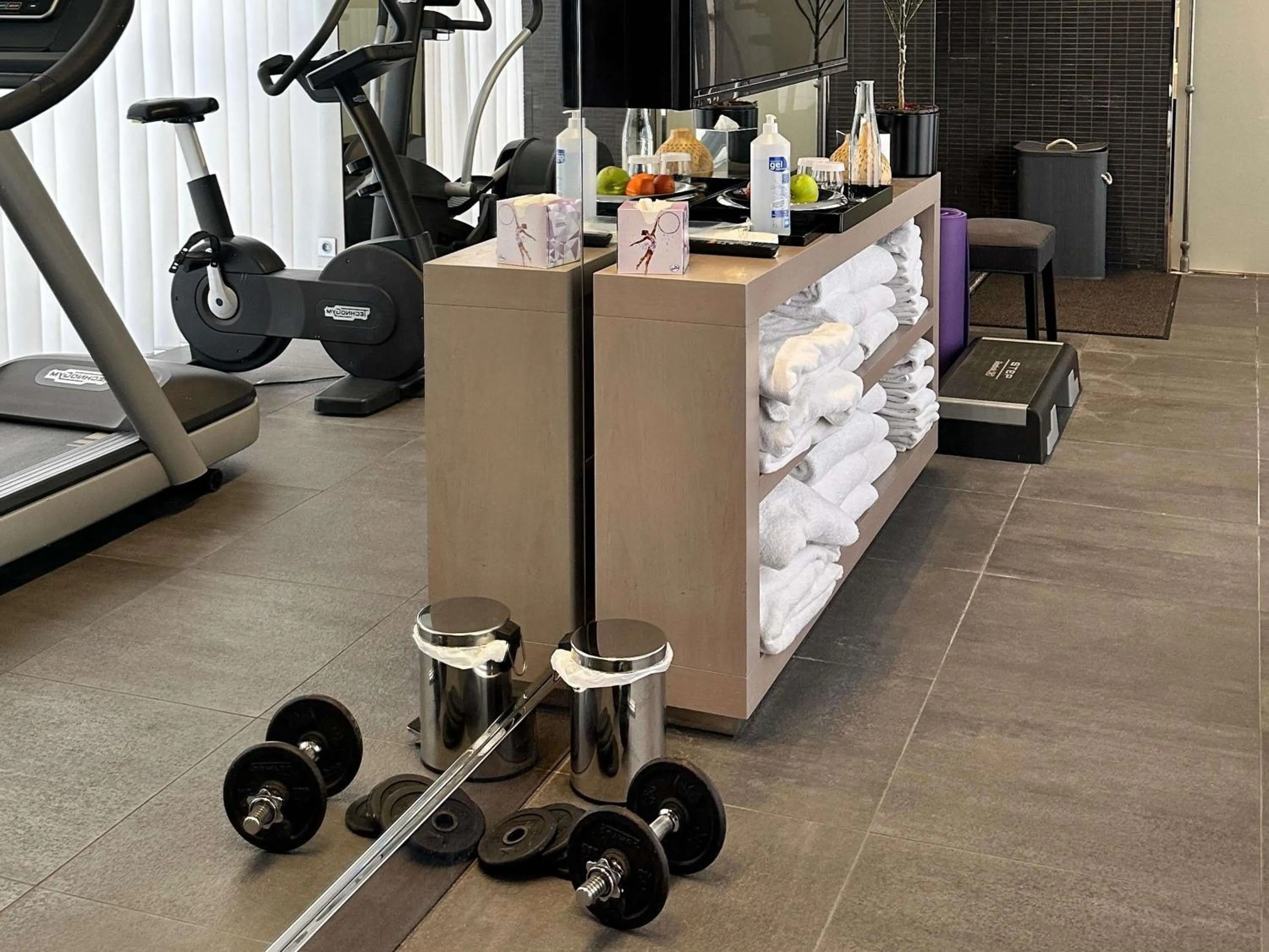 Fitness centre/facilities in Park Hotel Grenoble - MGallery Collection
