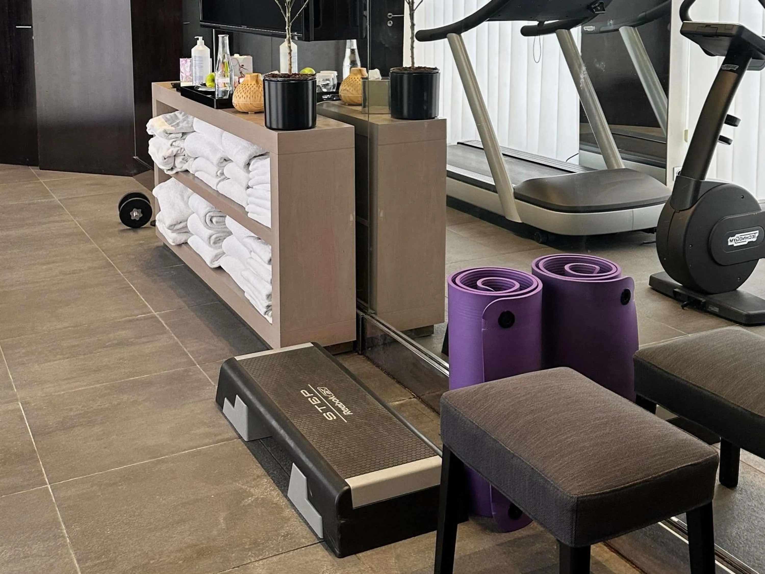 Fitness centre/facilities in Park Hotel Grenoble - MGallery Collection