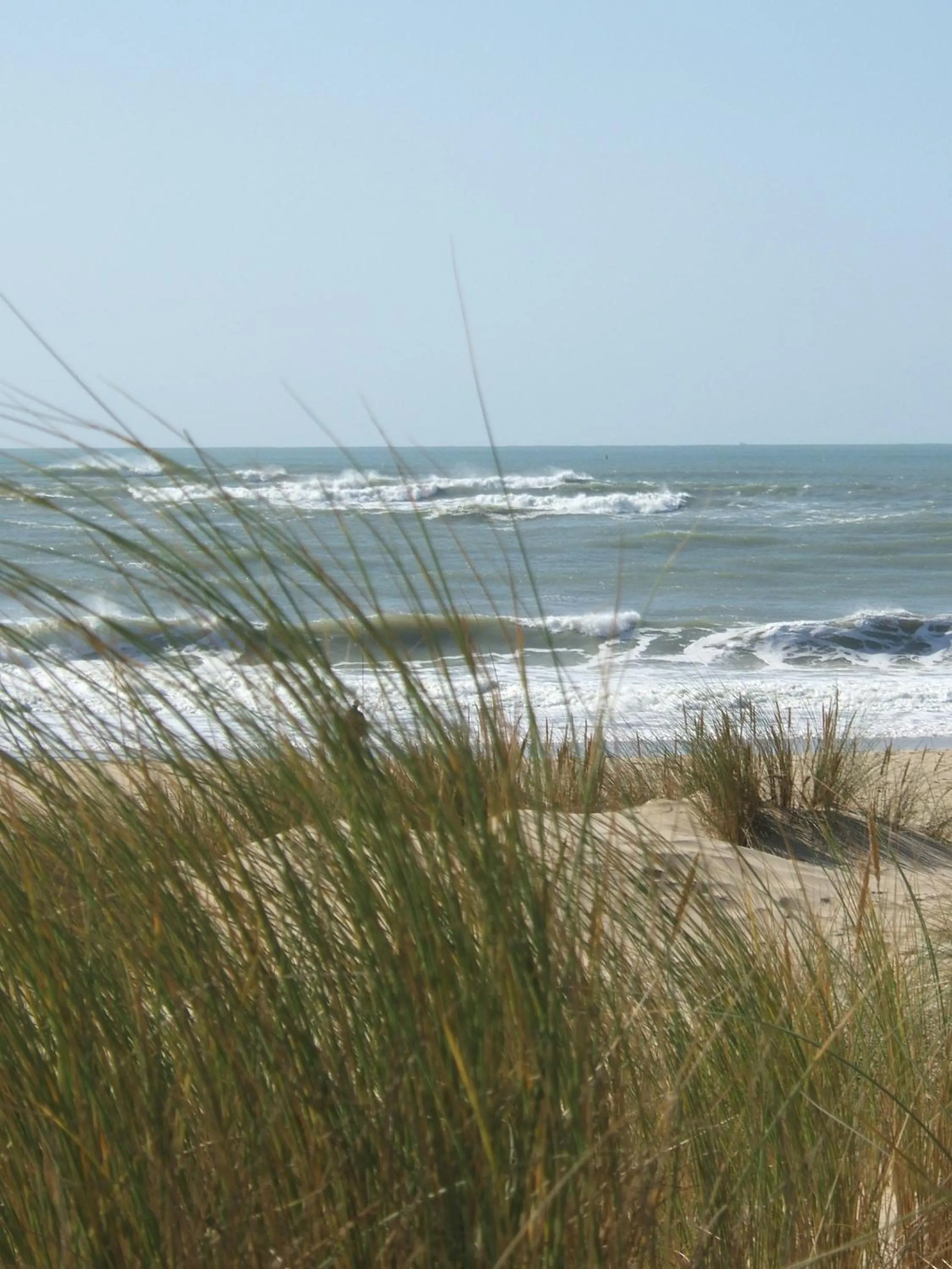 Area and facilities in Le Heron Cendré