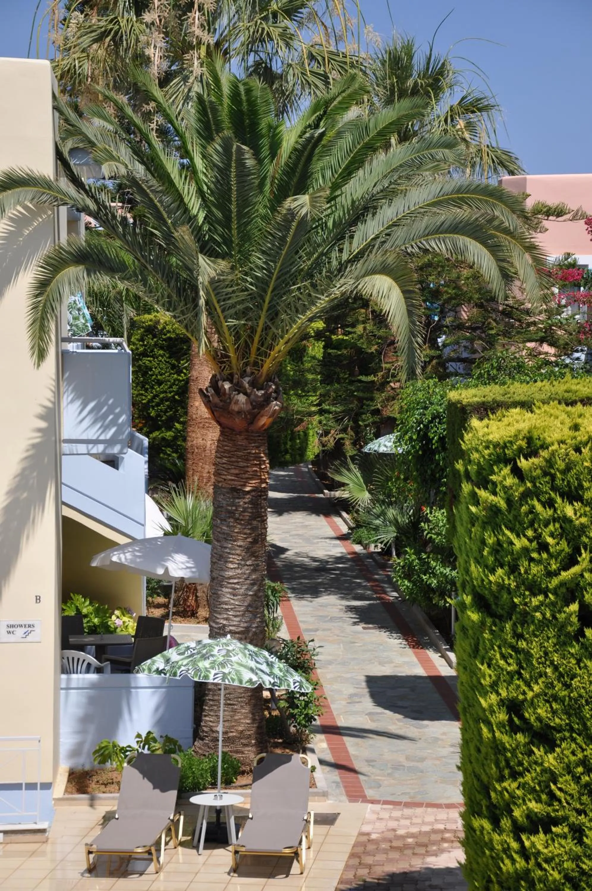 Garden in Mediterranea Apartments