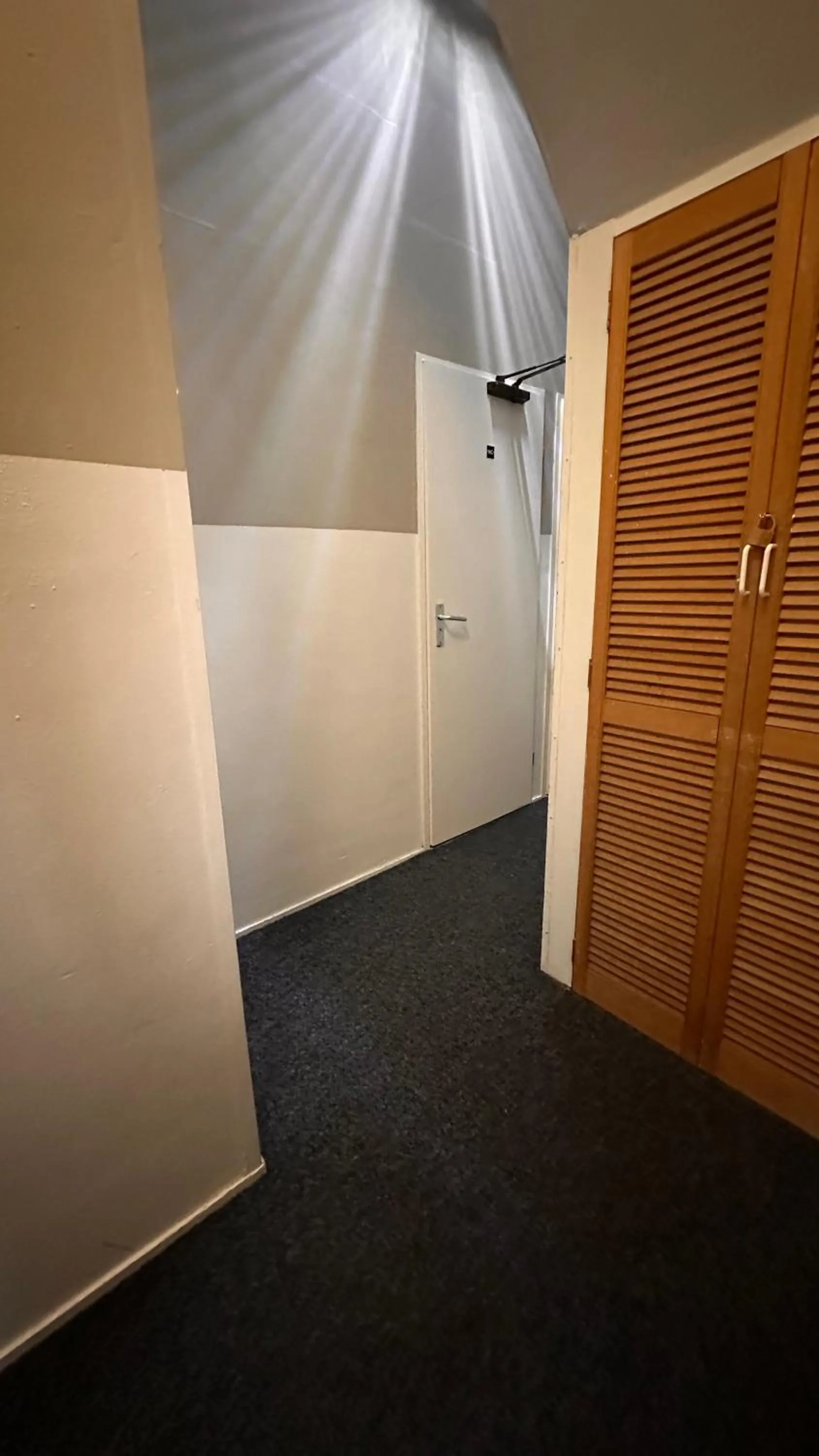 Toilet in Hotel Hortus