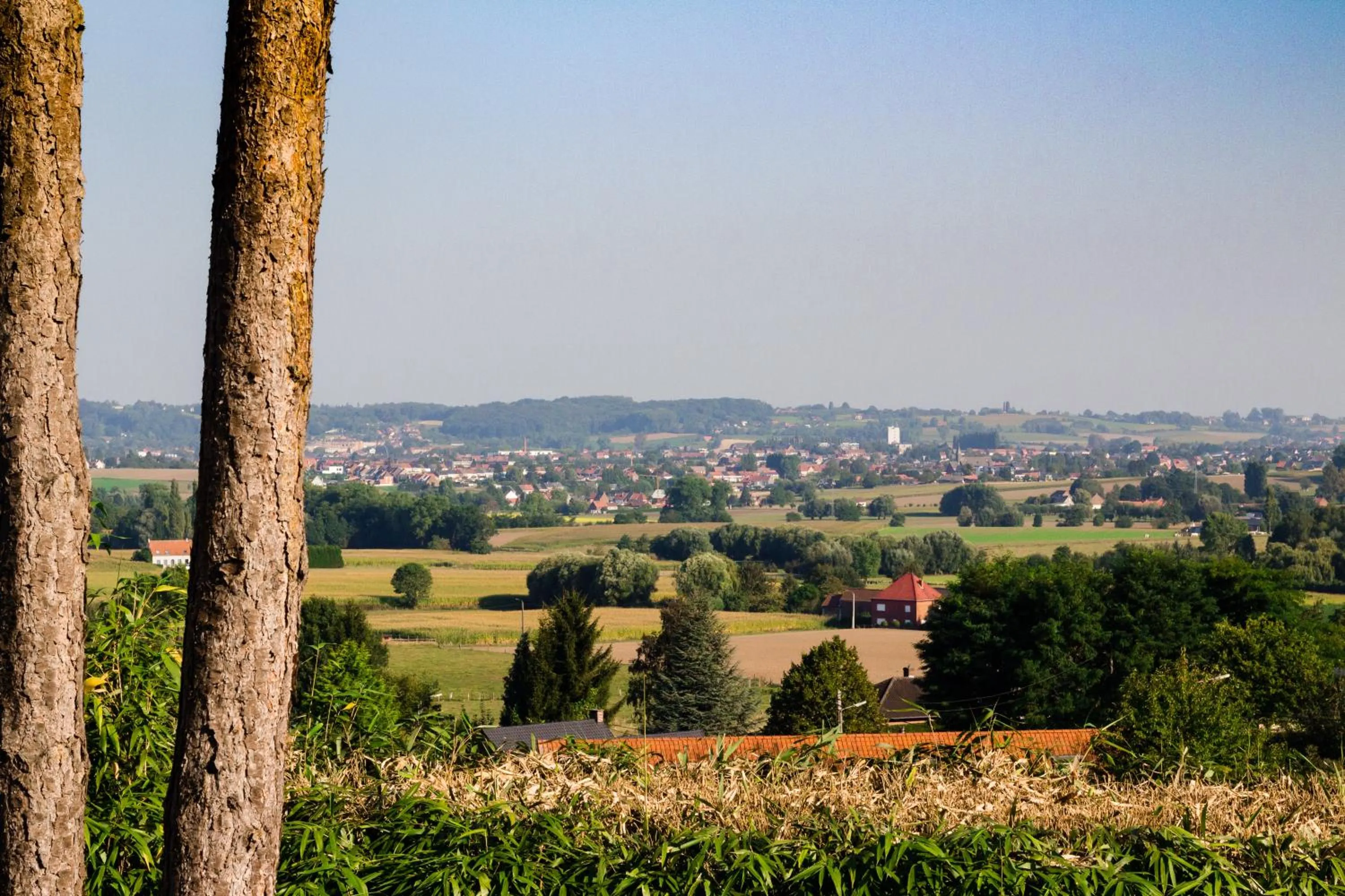 Natural landscape in Vertes Feuilles