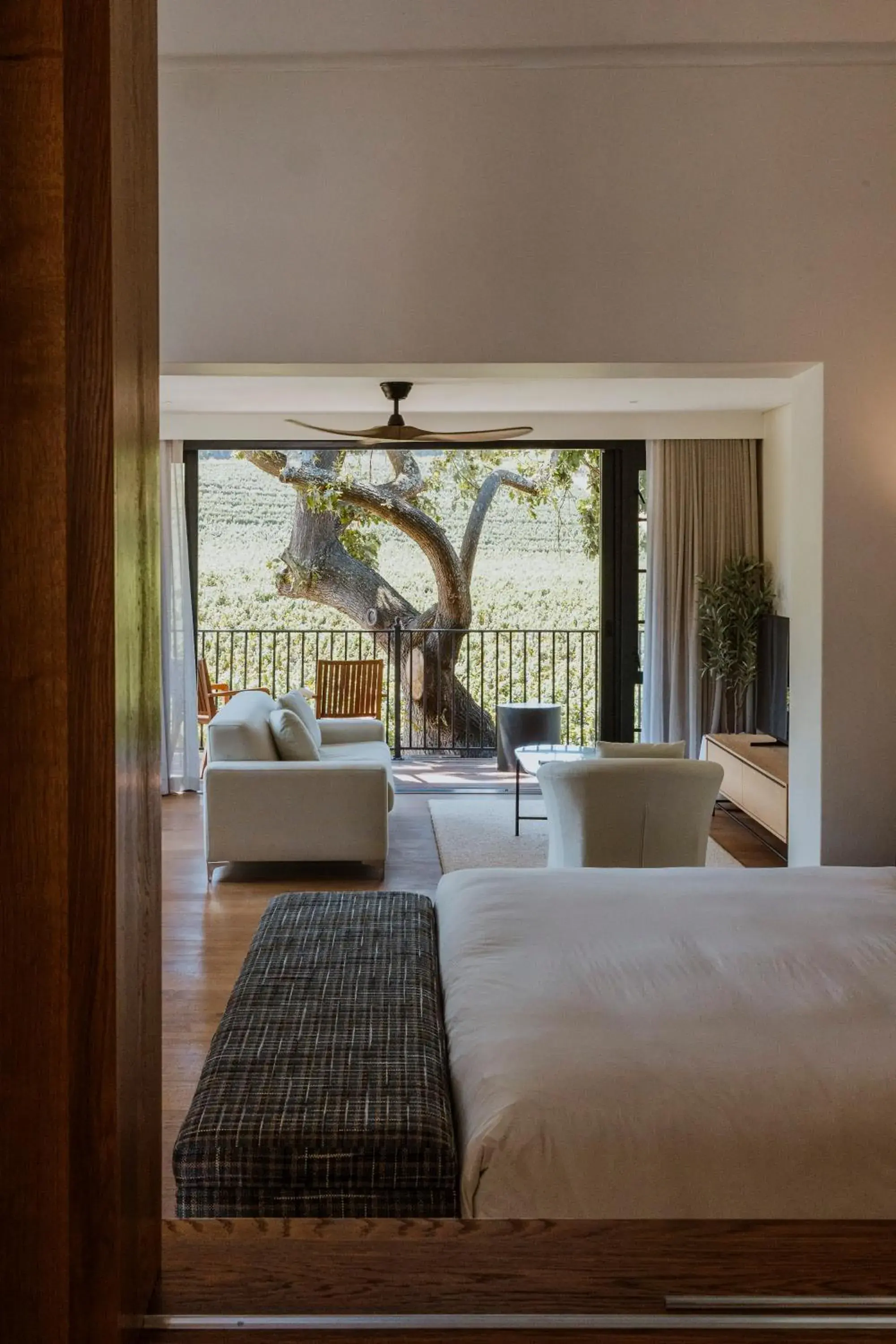 Vineyard Deluxe Suite in Laborie Estate Vineyard Deluxe Suite in Laborie Estate