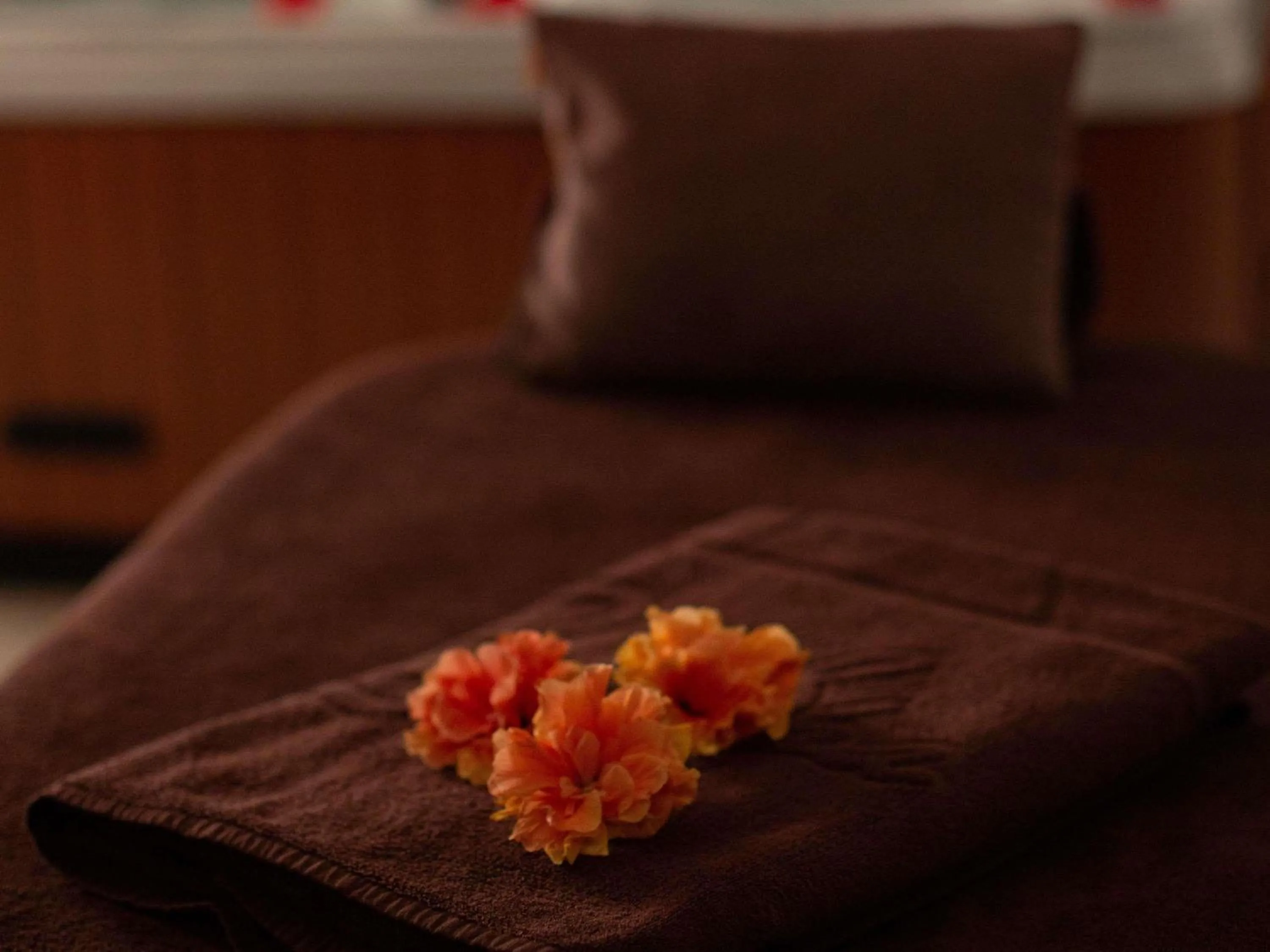 Spa and wellness centre/facilities, Bed in Movenpick Resort & Spa El Gouna