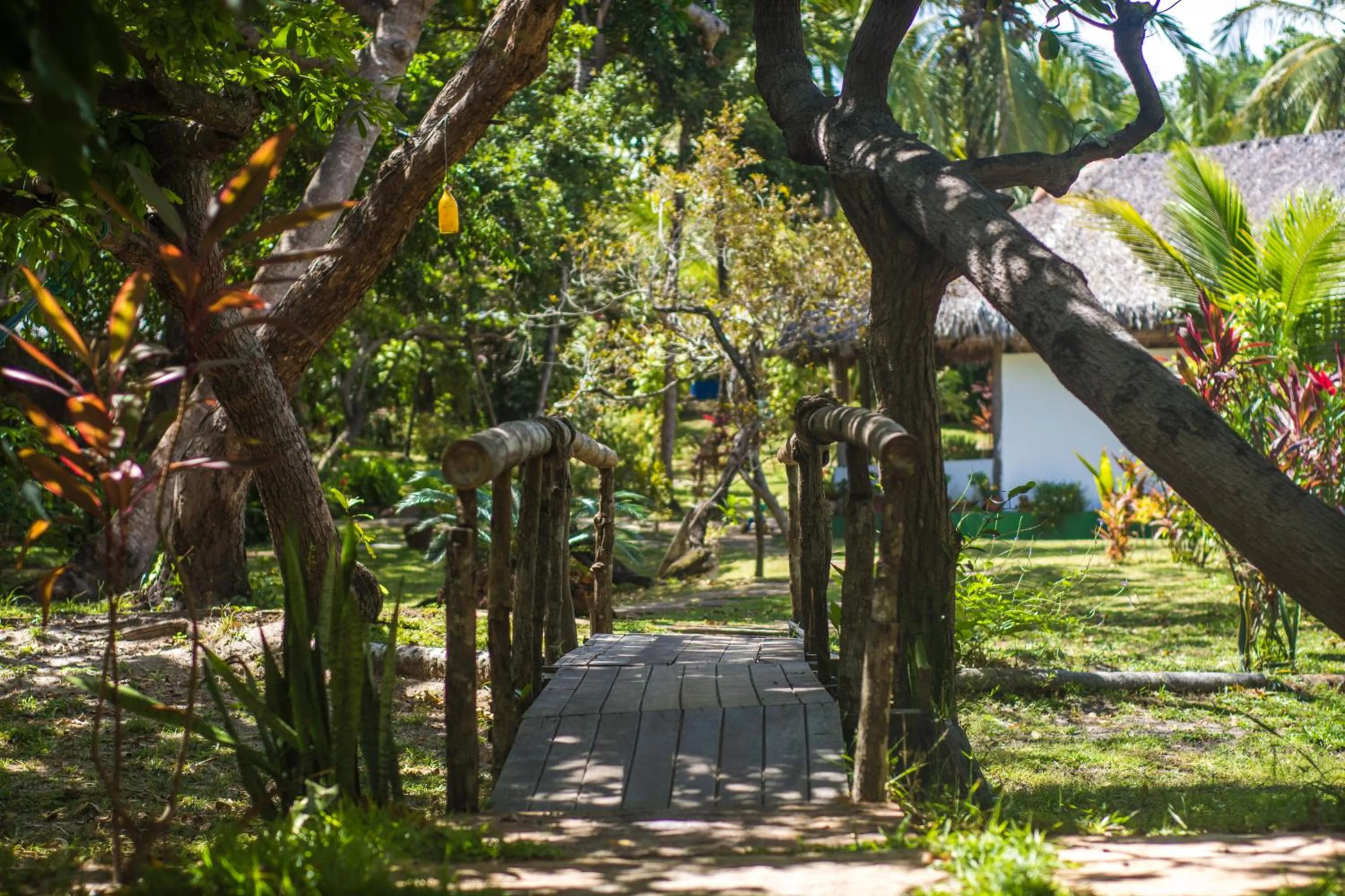 Natural landscape in Ciamat Camp