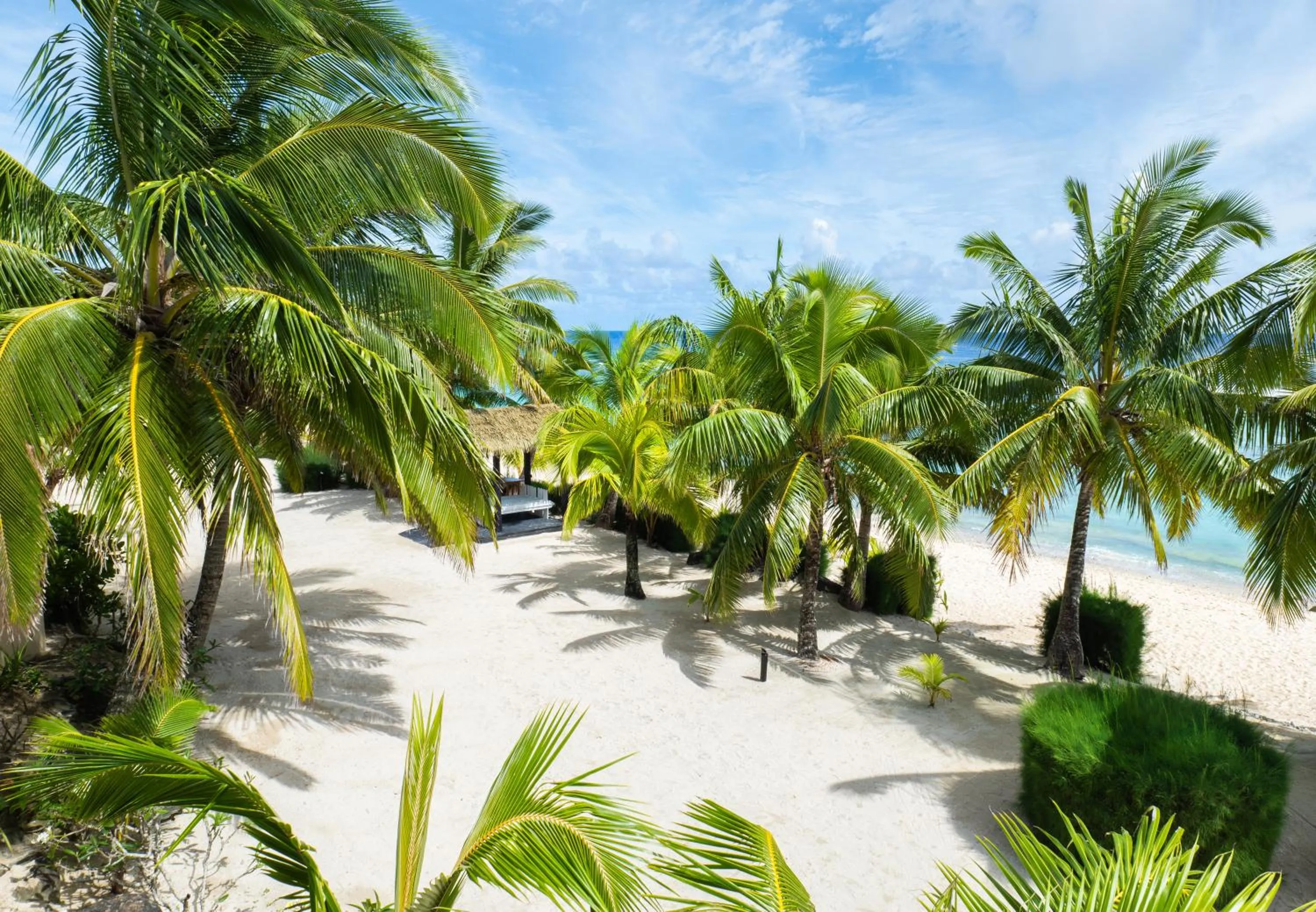View (from property/room) in The Edgewater Resort & Spa