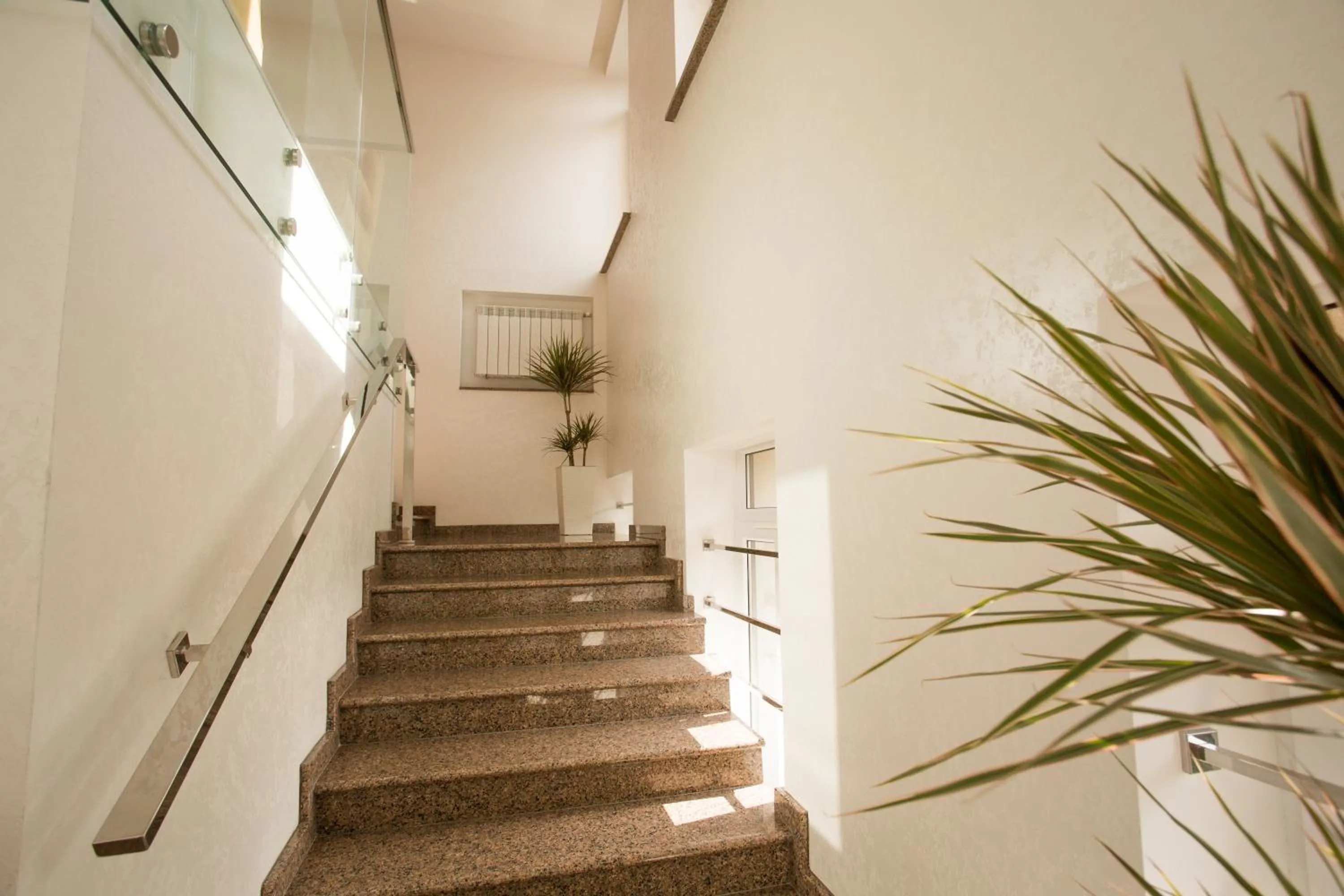 Area and facilities in Mackintosh Hotel