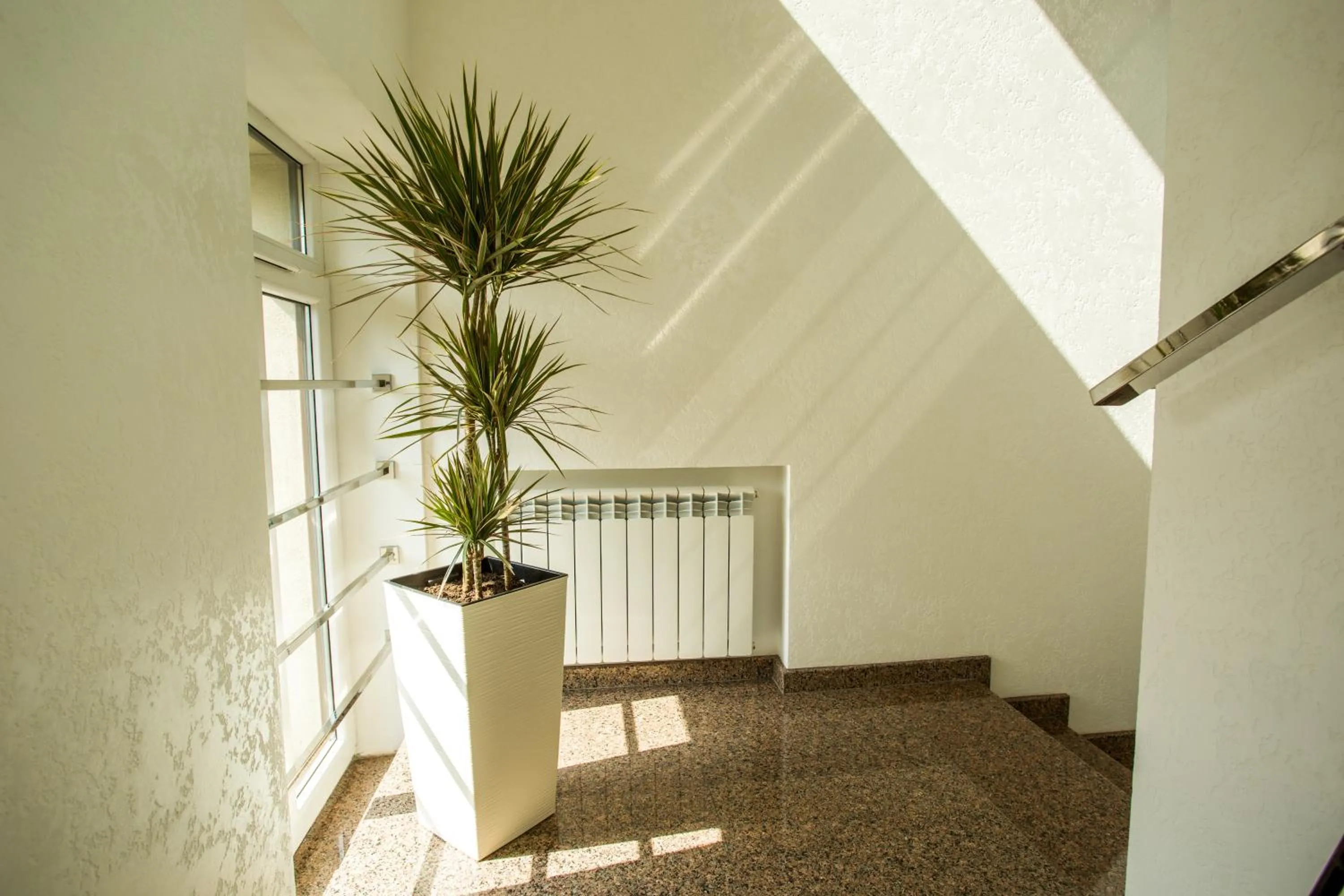 Area and facilities in Mackintosh Hotel