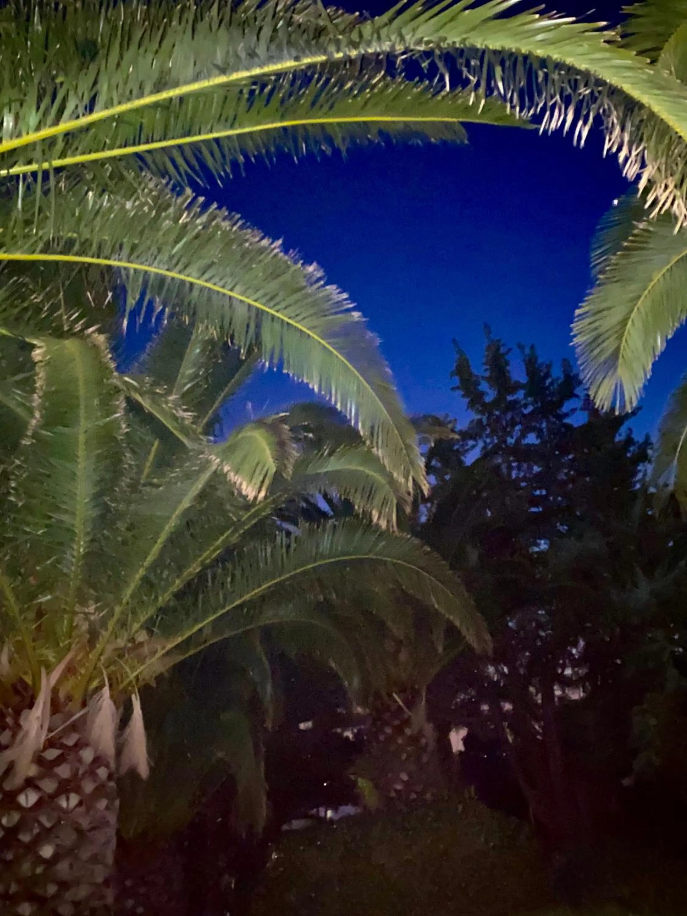 Night in Hotel I Ginepri