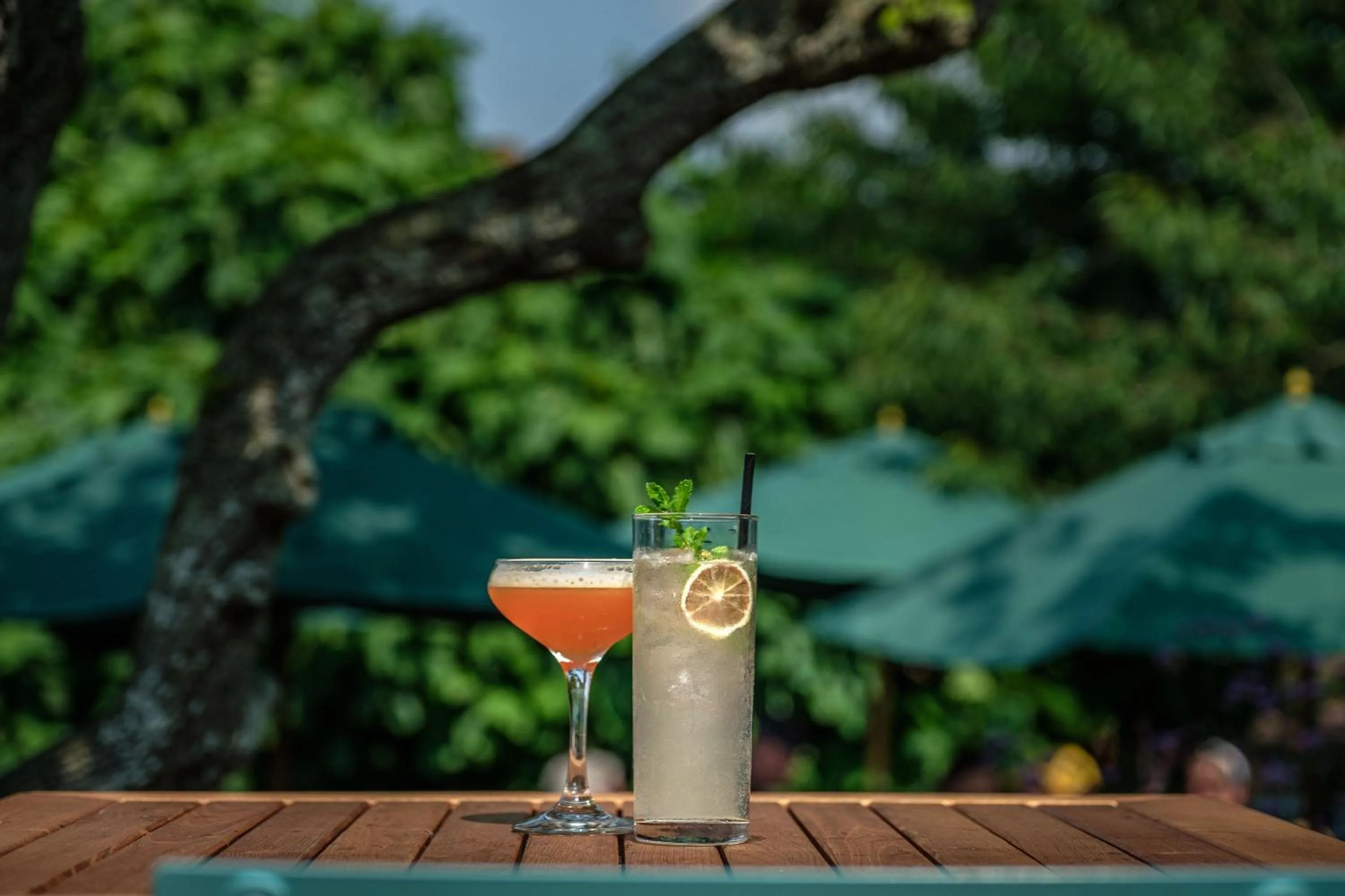 Drinks in The Ship At Dunwich