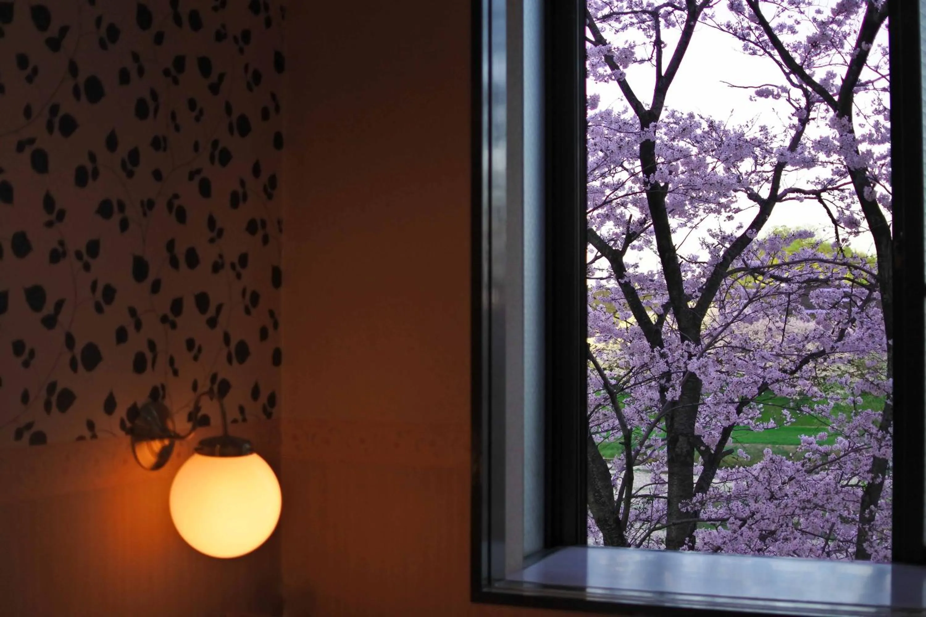 View (from property/room) in Hotel Dressy (Adult Only)