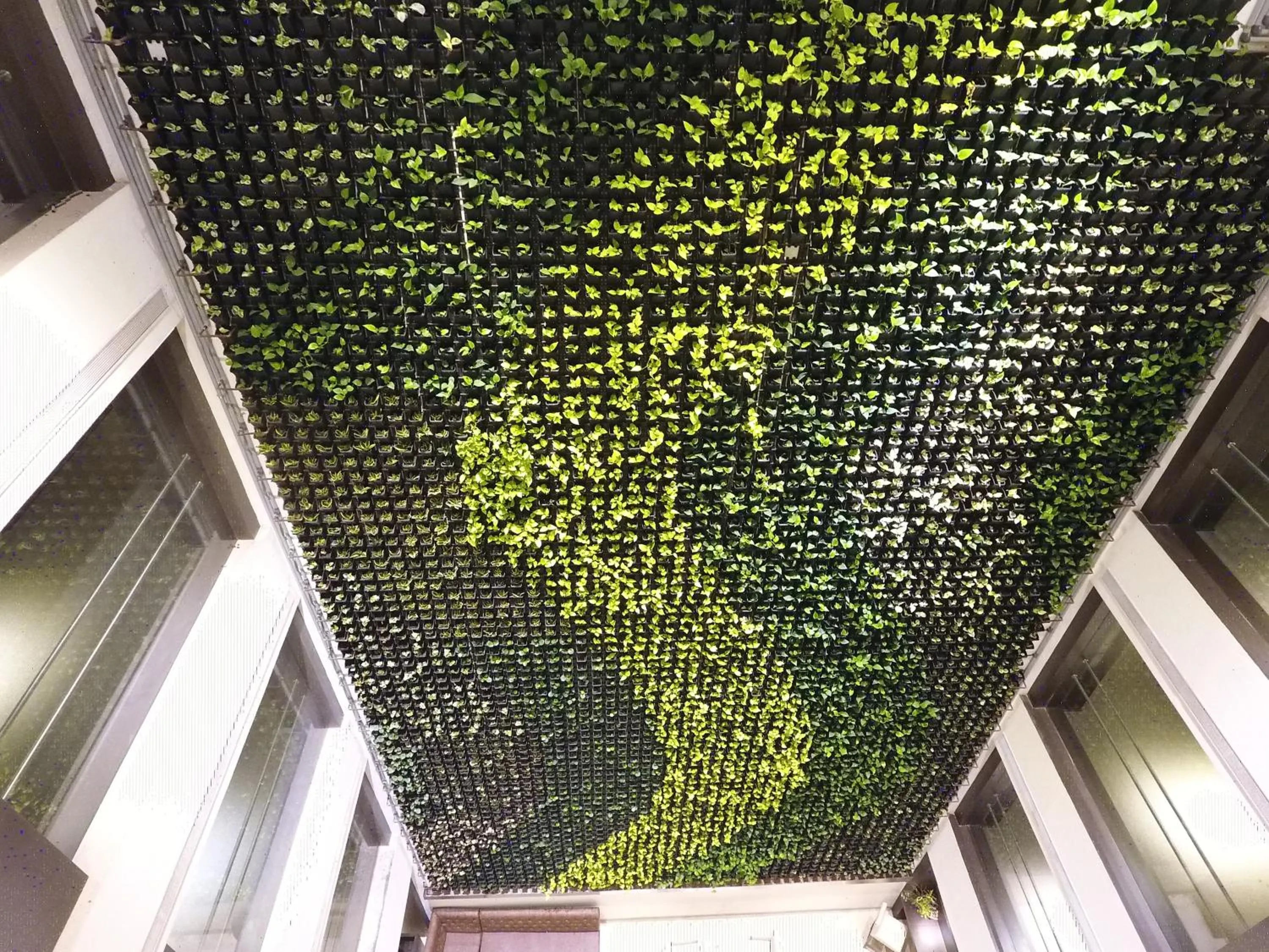 Garden in Hash Six Hotels