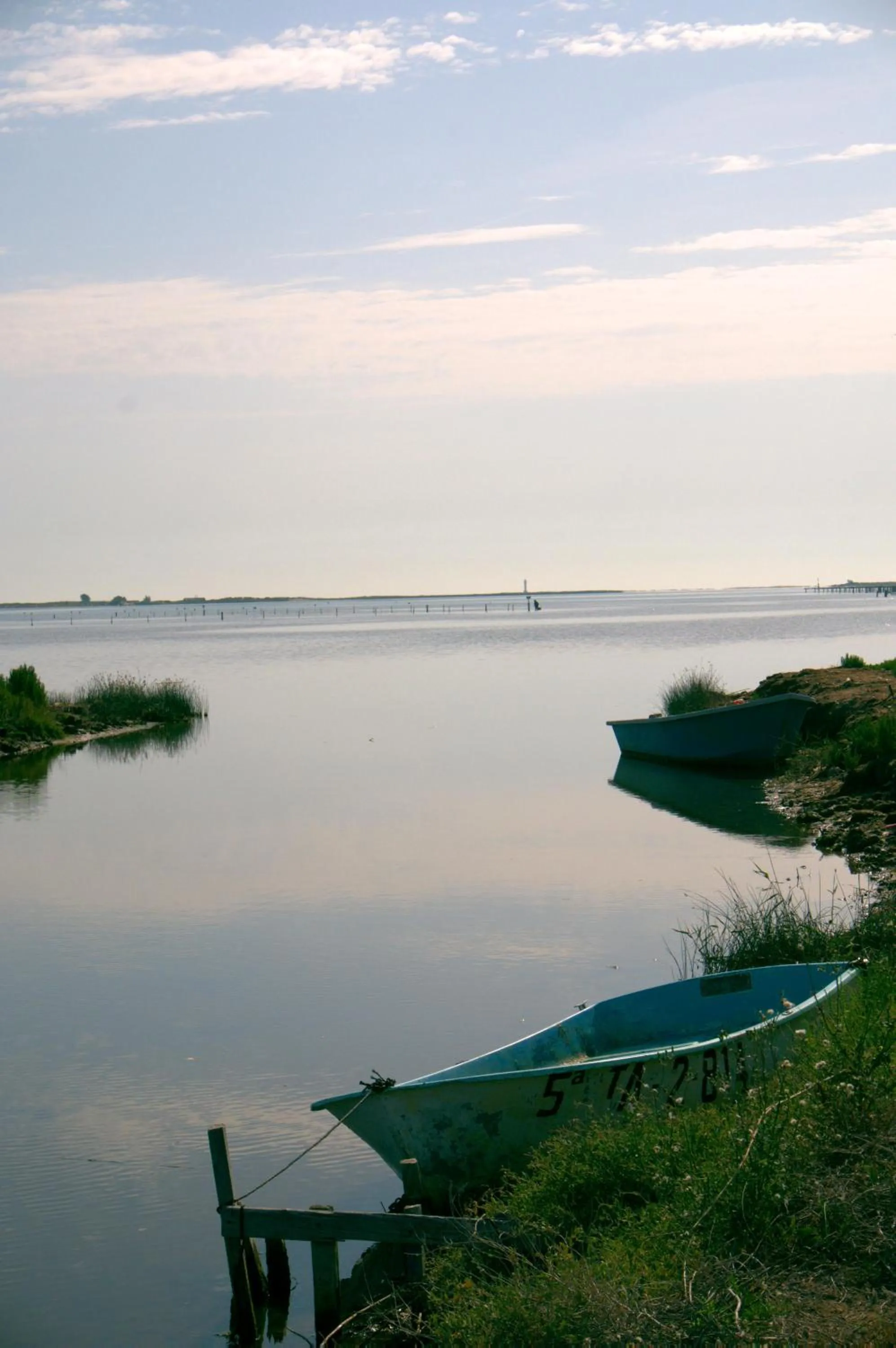Natural landscape in Hotel La Rápita