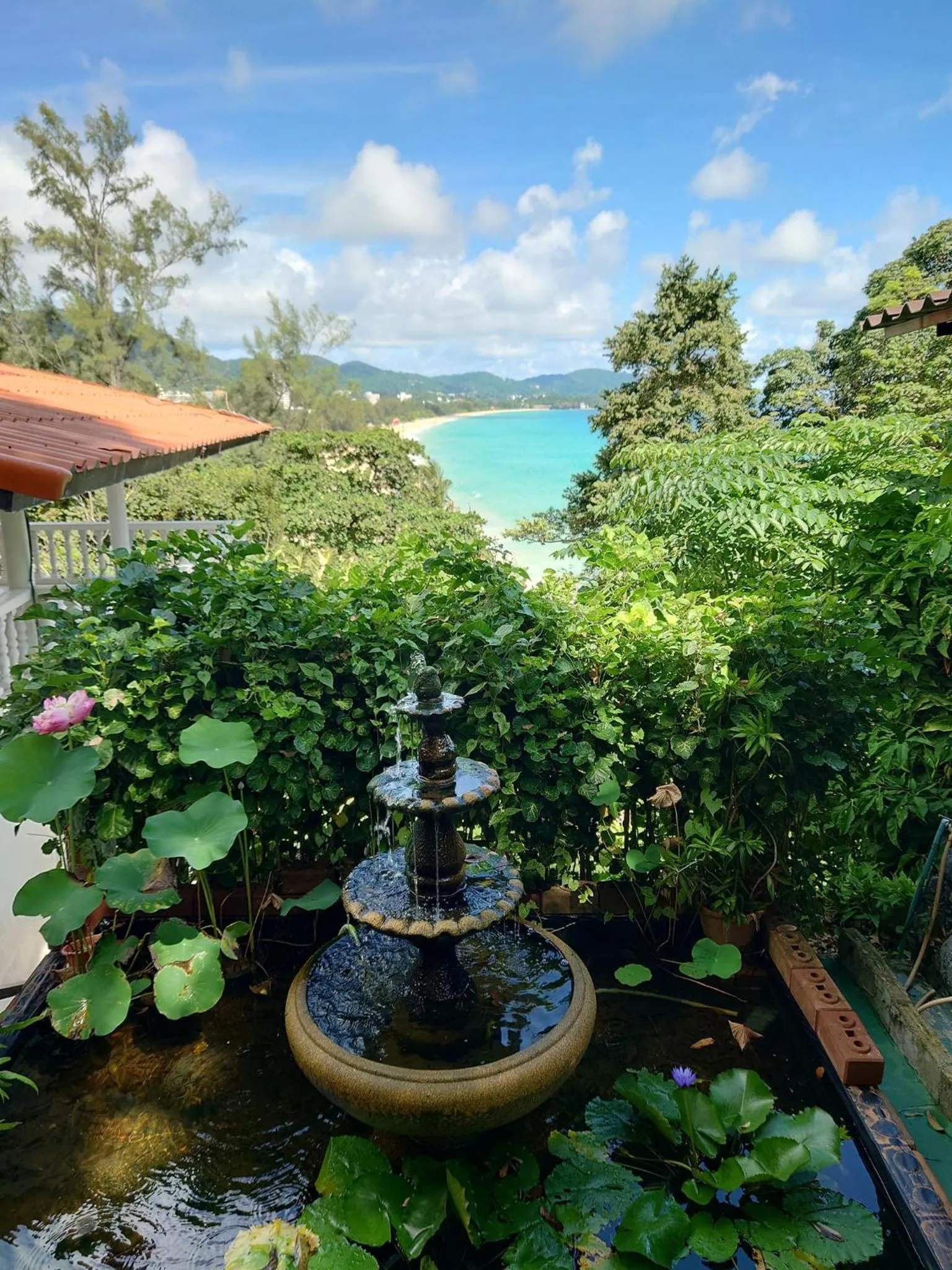 Garden view in On The Hill Karon Resort