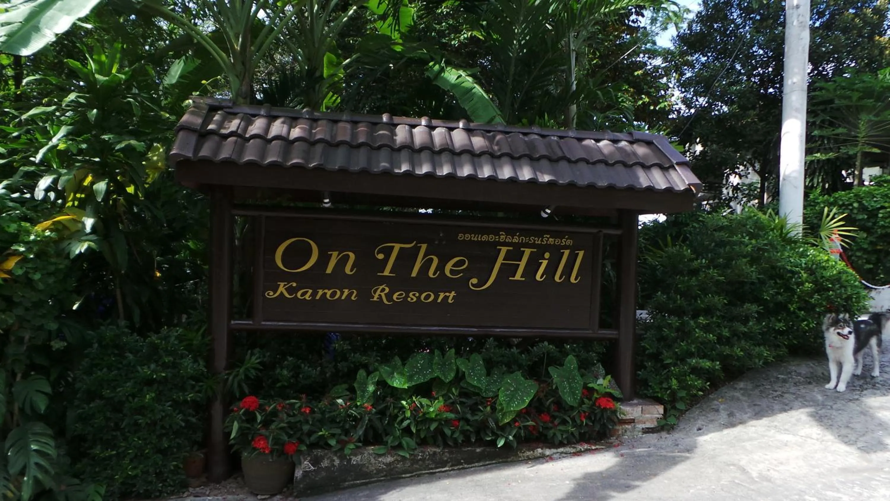 Facade/entrance in On The Hill Karon Resort