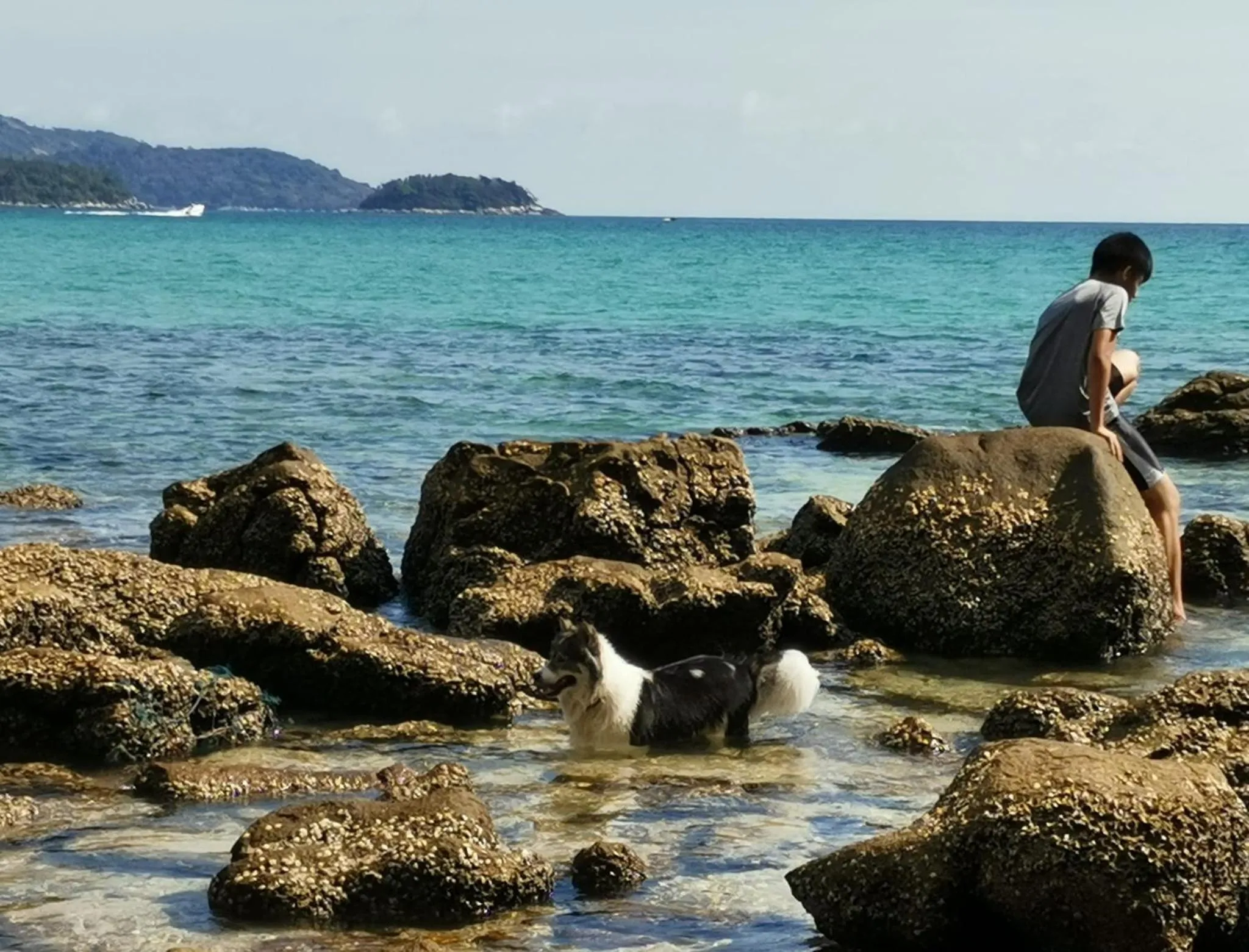 Beach in On The Hill Karon Resort