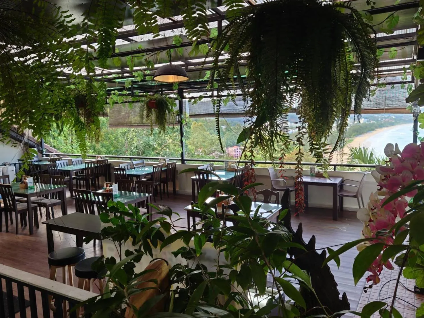 Restaurant/places to eat in On The Hill Karon Resort