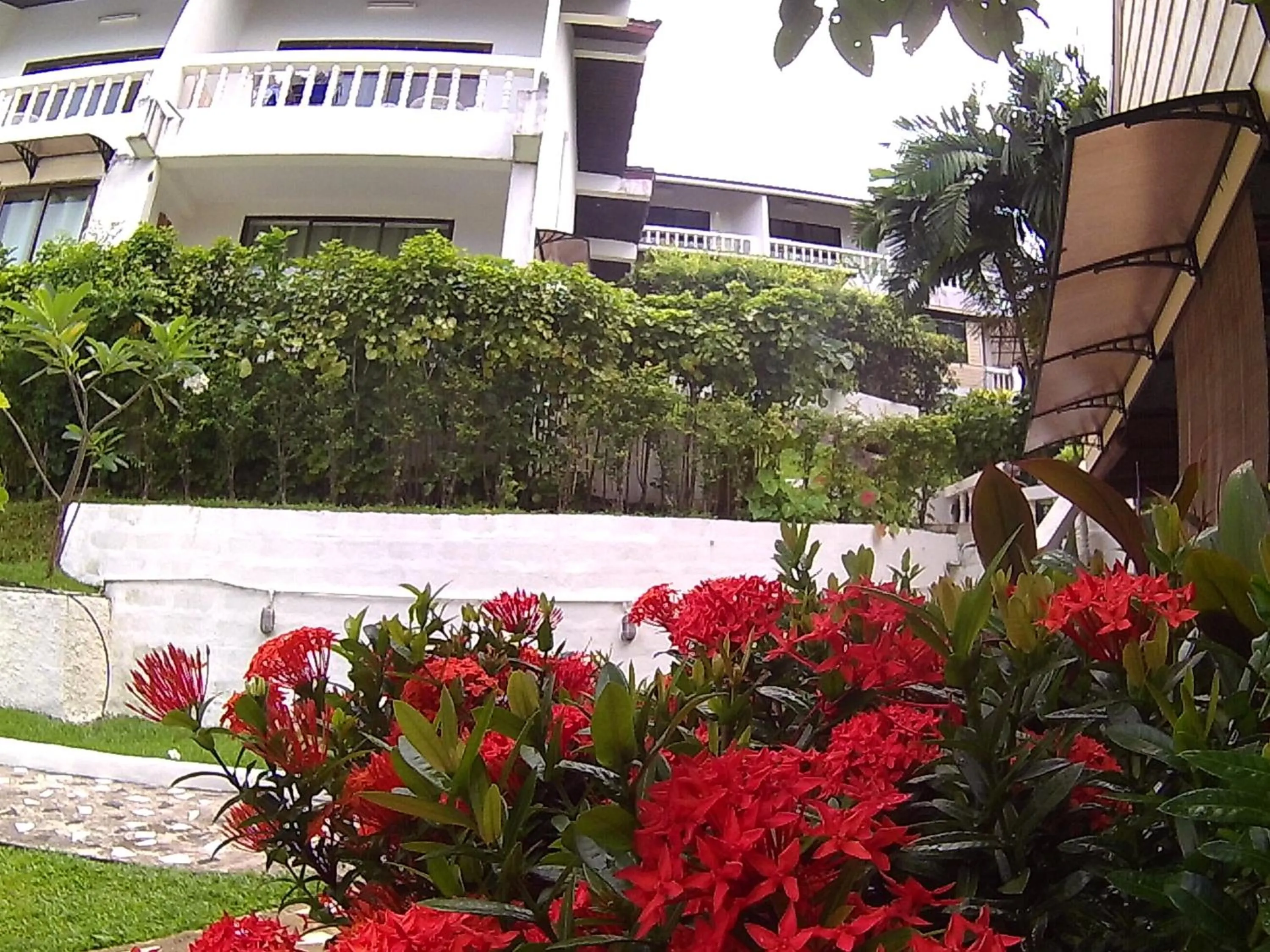 Garden in On The Hill Karon Resort