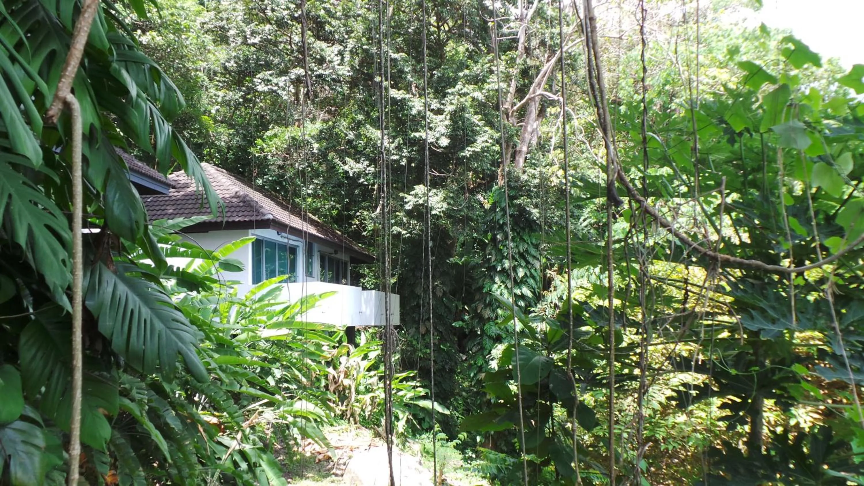 Balcony/Terrace in On The Hill Karon Resort
