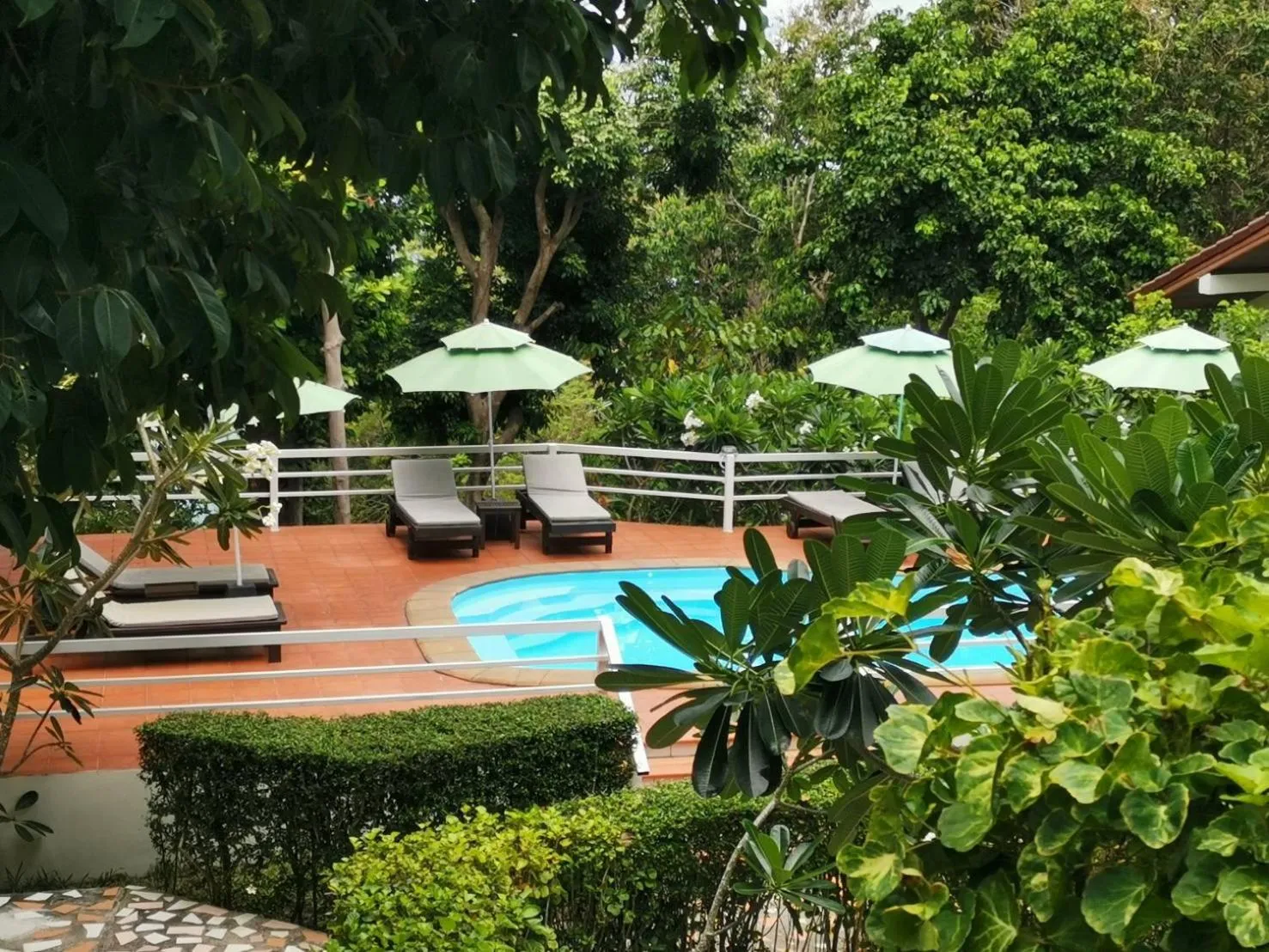 Swimming pool in On The Hill Karon Resort