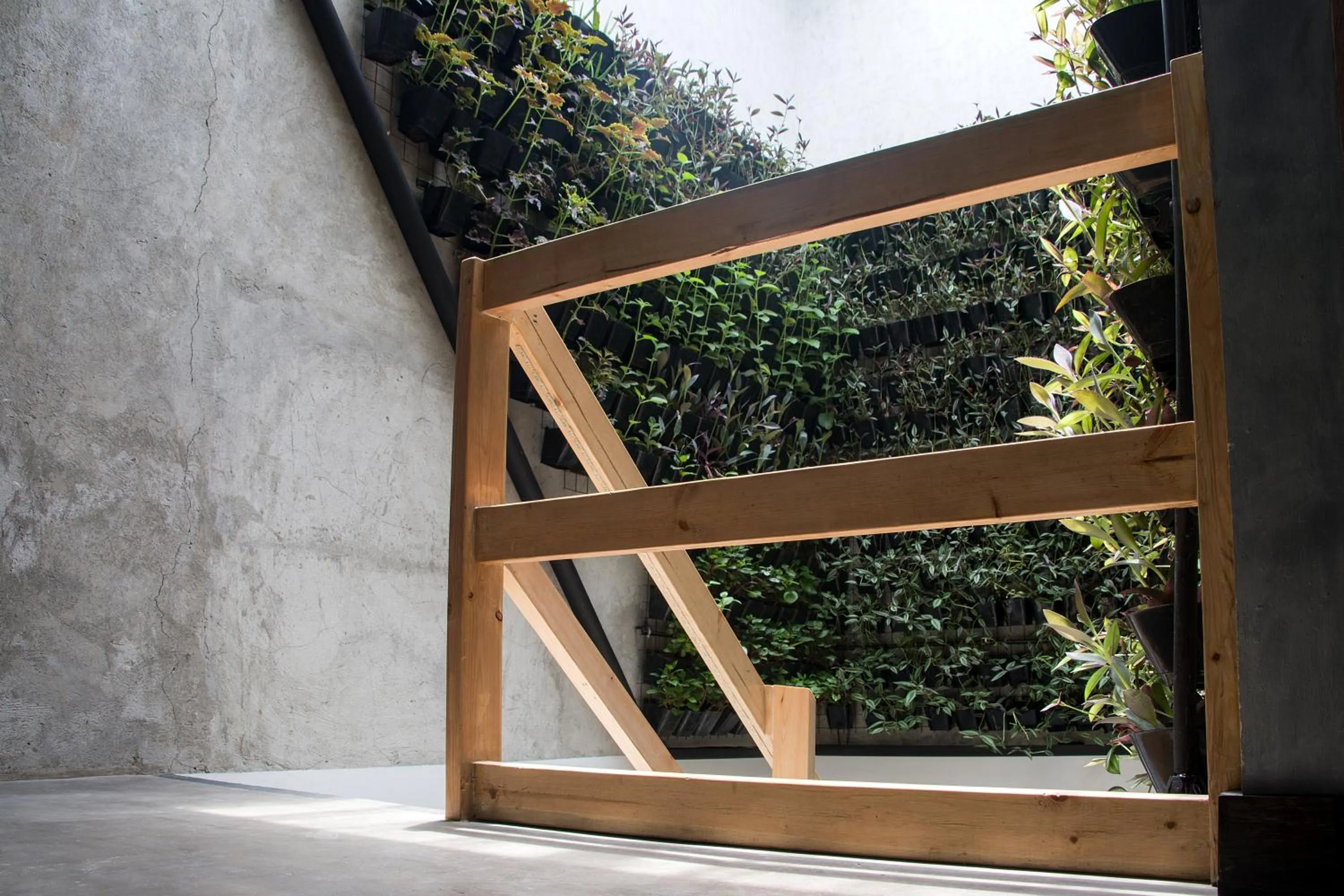 Area and facilities in Urban Boutique Hotel