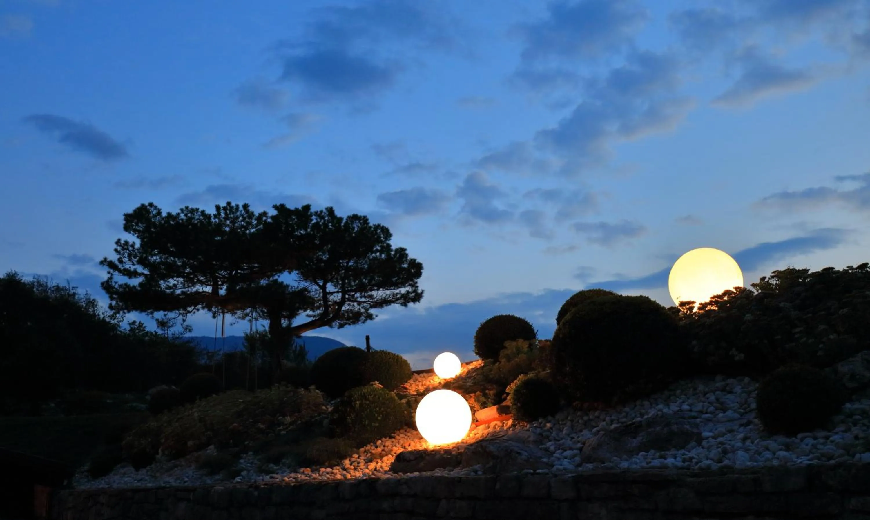 Summer in Hotel Lilla'