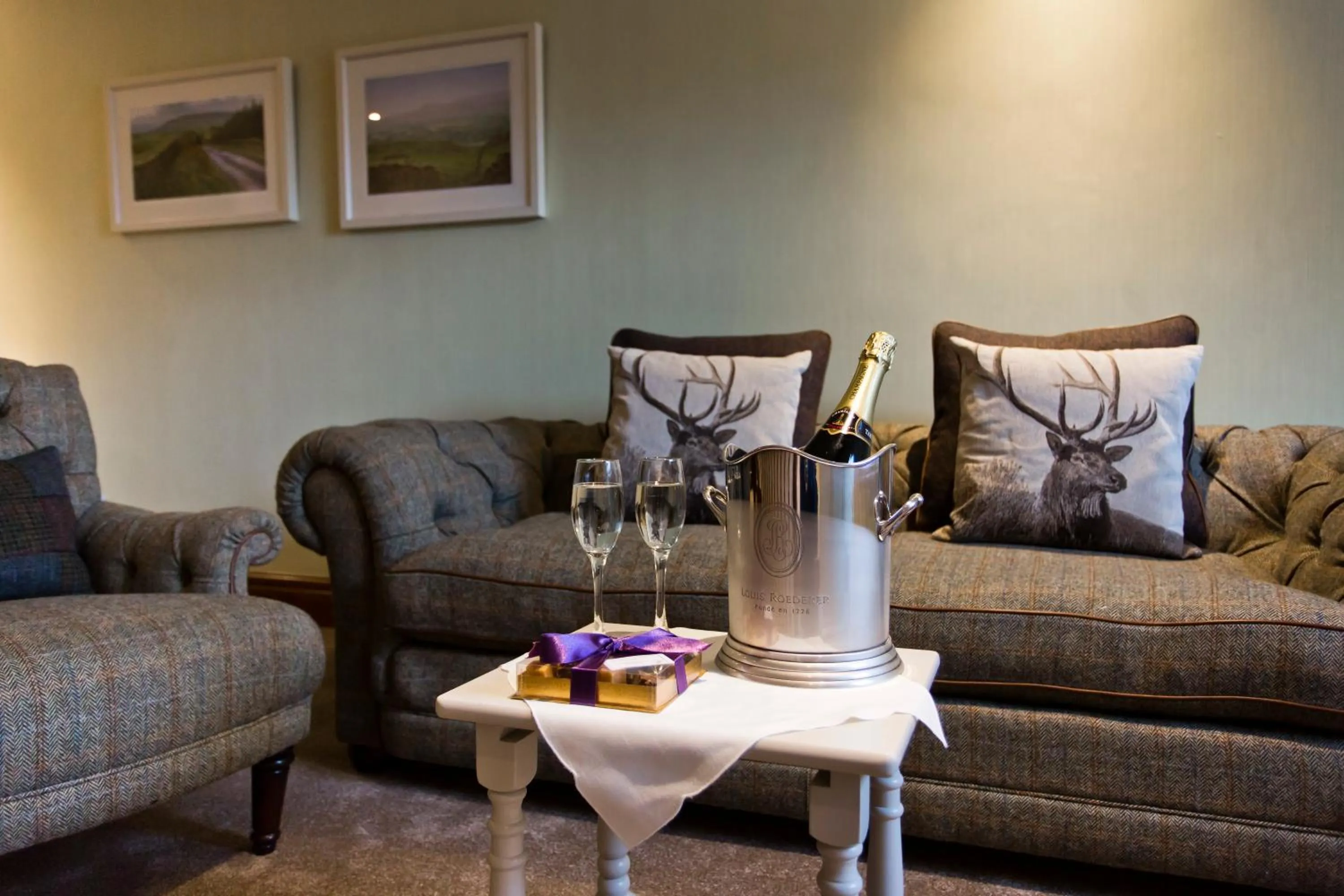 Living room in Gibbon Bridge Hotel