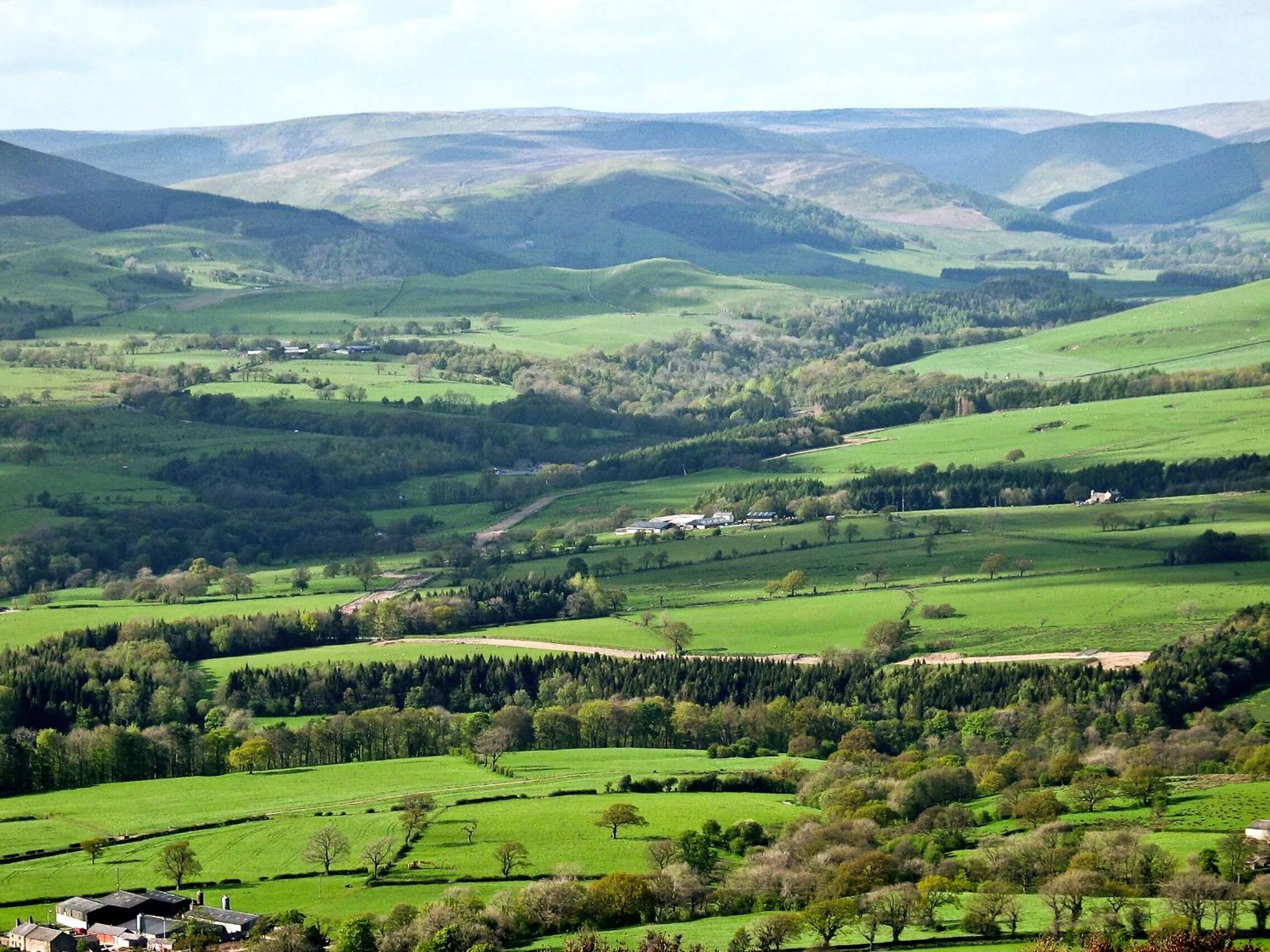 Natural landscape in Gibbon Bridge Hotel